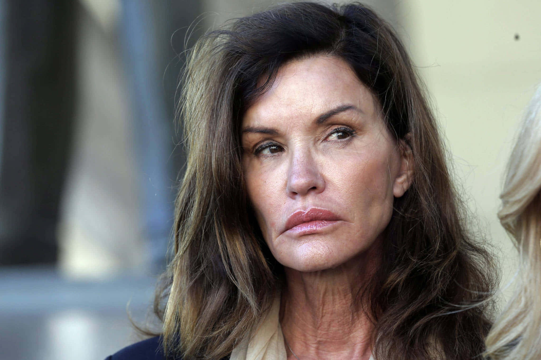 Janice Dickinson, long brown hair, serious expression, Full HD Desktop Wallpaper