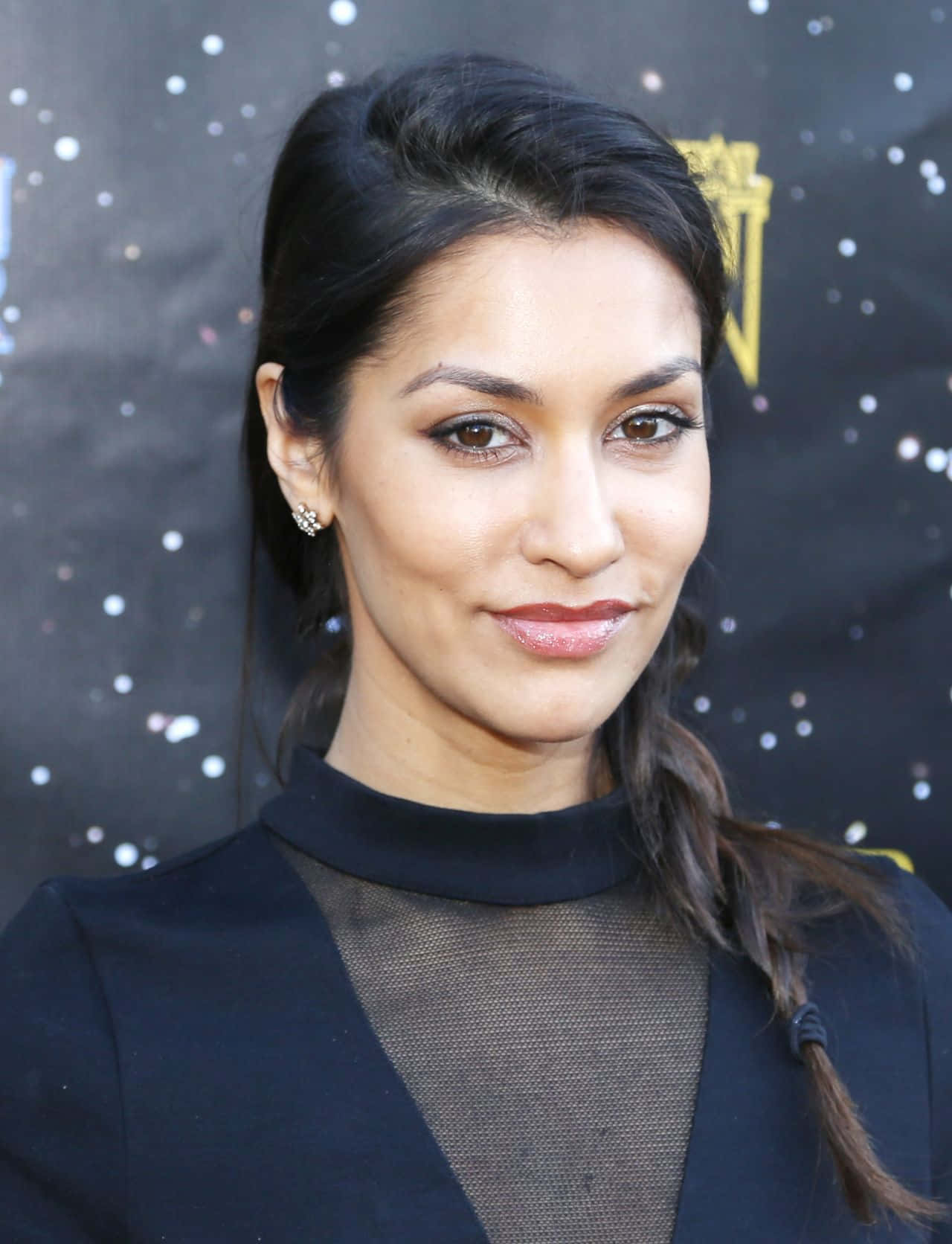 Janina Gavankar, elegant pose, starry backdrop, HD Phone Wallpaper