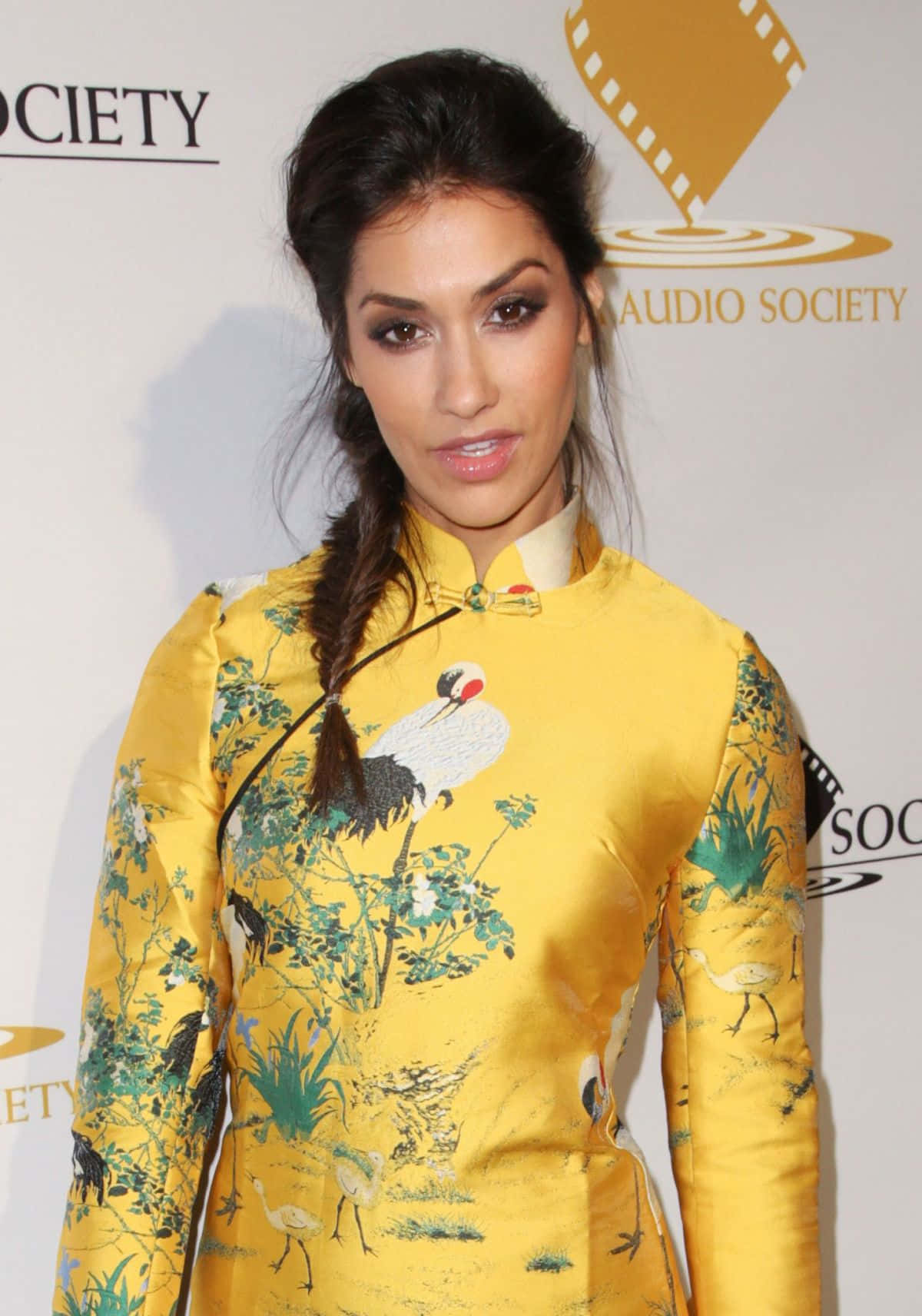 Janina Gavankar, vibrant yellow traditional dress, crane and foliage patterns, HD Phone Wallpaper