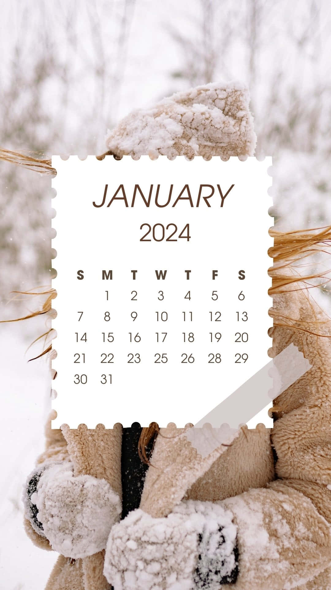 January 2024 calendar, beige furry coat, snowy winter backdrop, Full HD Phone Wallpaper