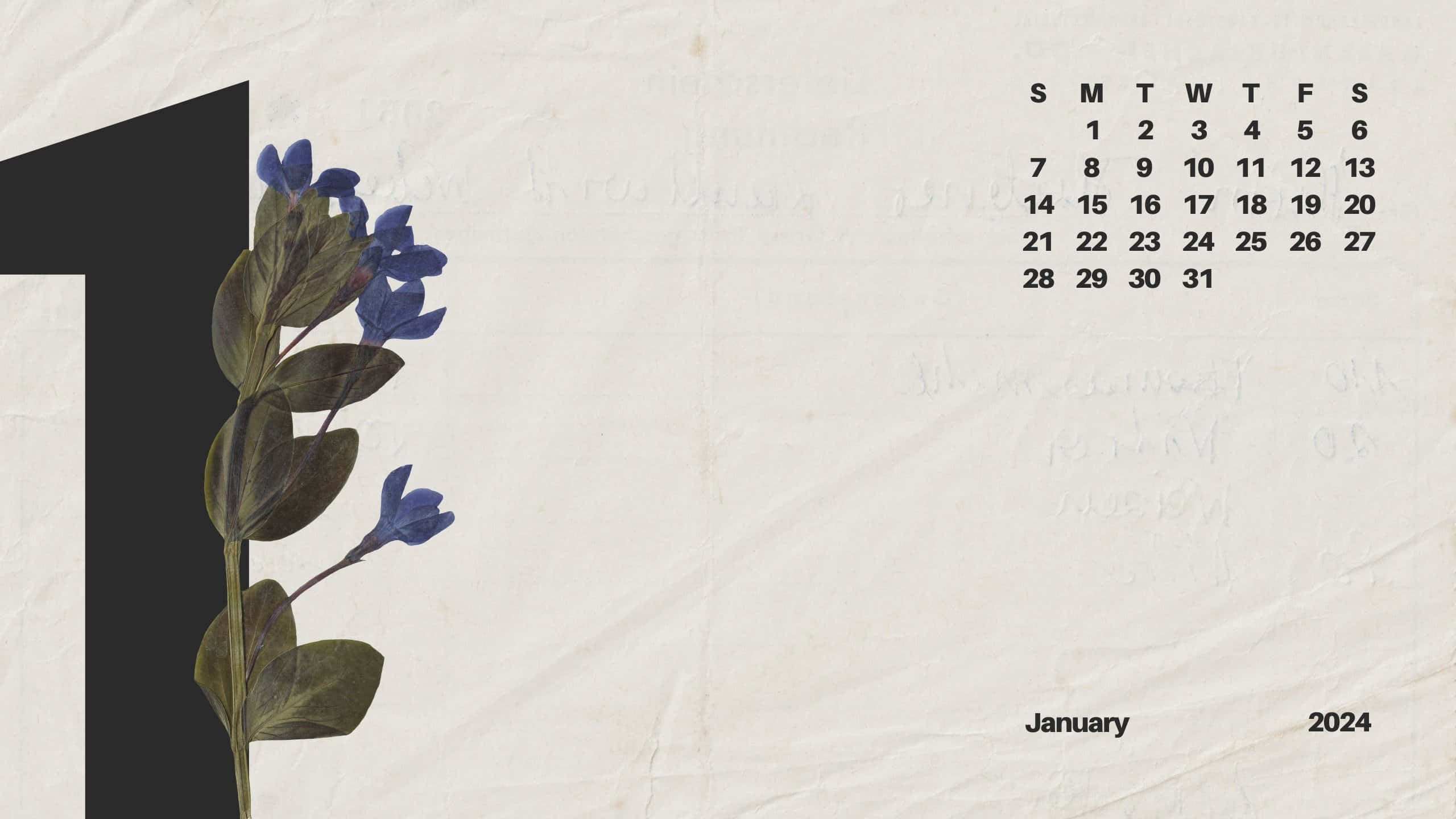 January 2024 Calendar, pressed blue flower, green leaves, 2K Desktop Wallpaper