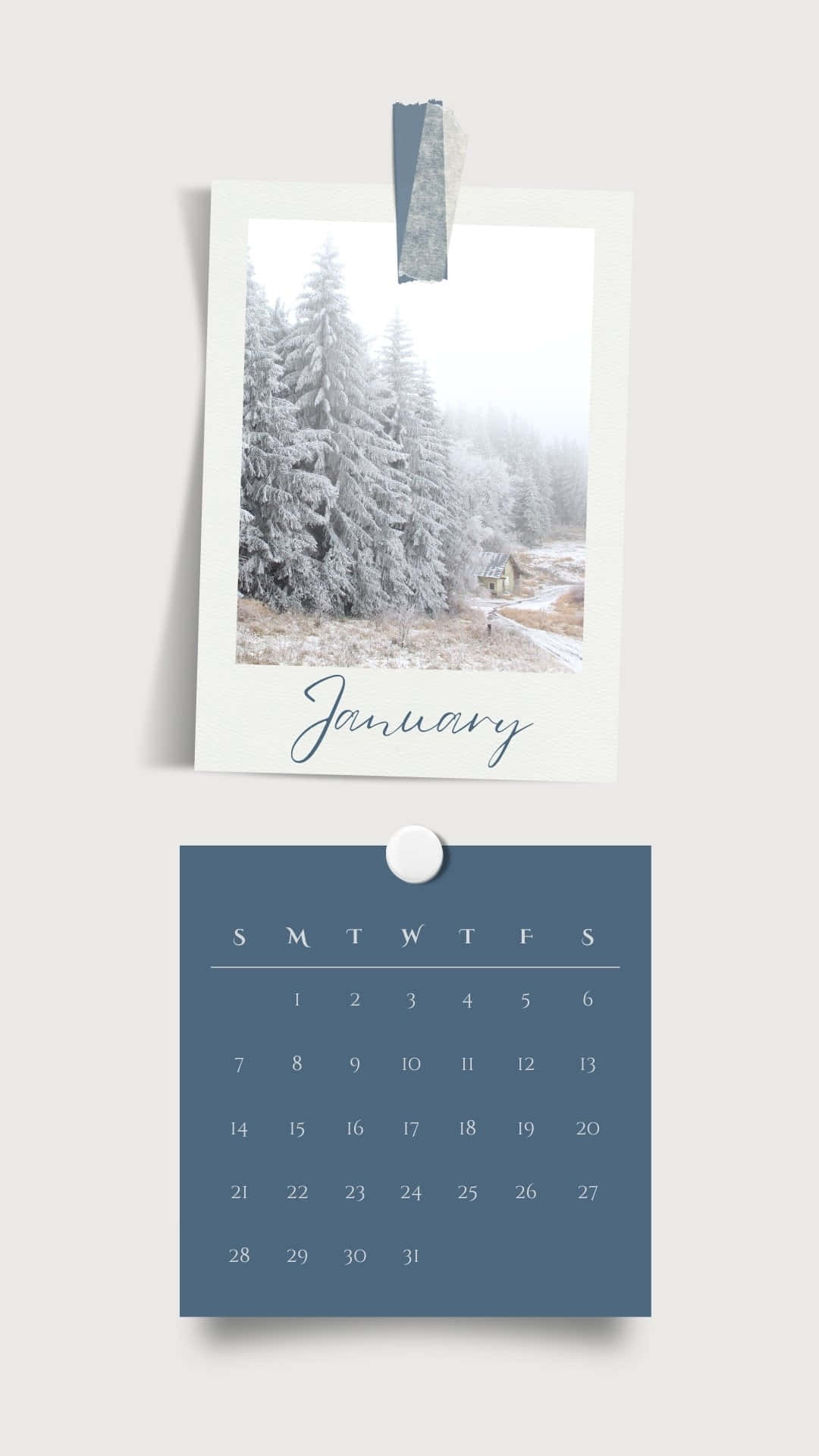 January 2024 Calendar, snowy forest, blue grid calendar, Full HD Phone Wallpaper