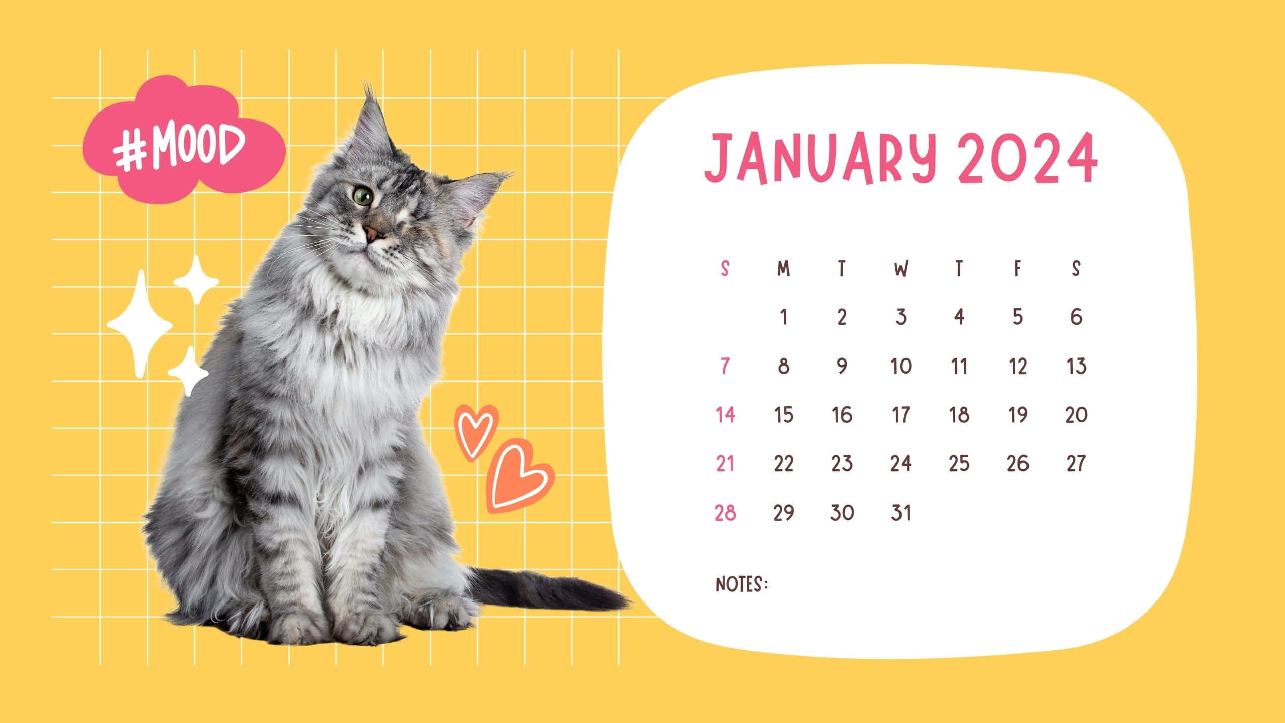 January 2024 calendar, fluffy gray tabby cat, bright yellow grid background, 2K Desktop Wallpaper