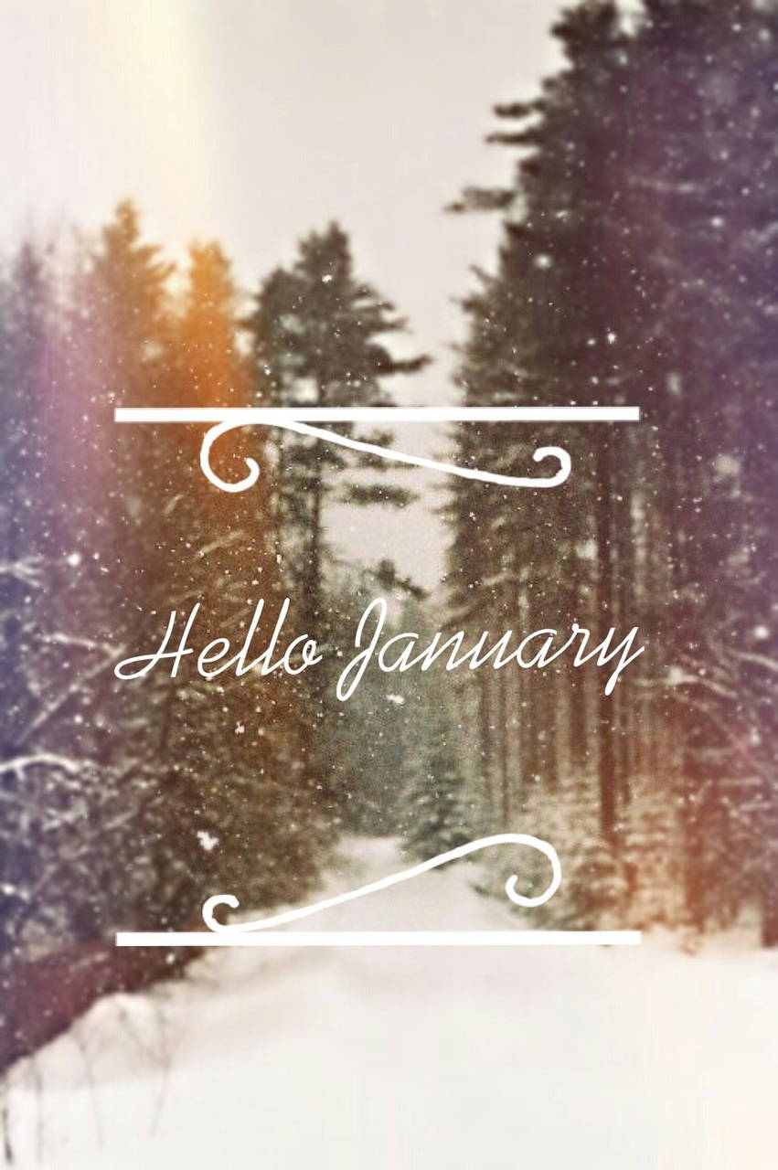 Hello January, snow, pine trees, HD Phone Wallpaper