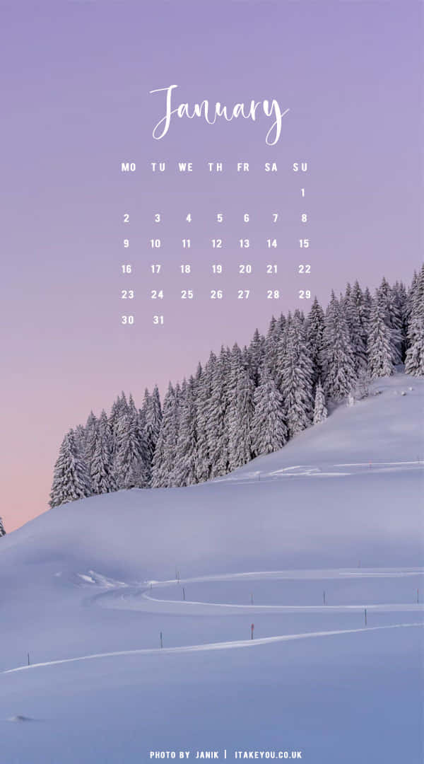 January, snowy mountain landscape, pine trees, SD Phone Wallpaper