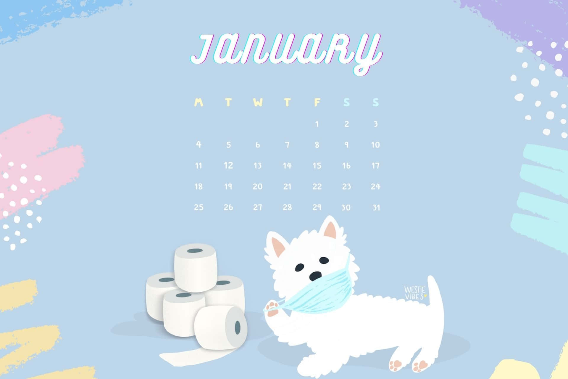 Westie dog, blue face mask, toilet paper rolls, Full HD Desktop Wallpaper