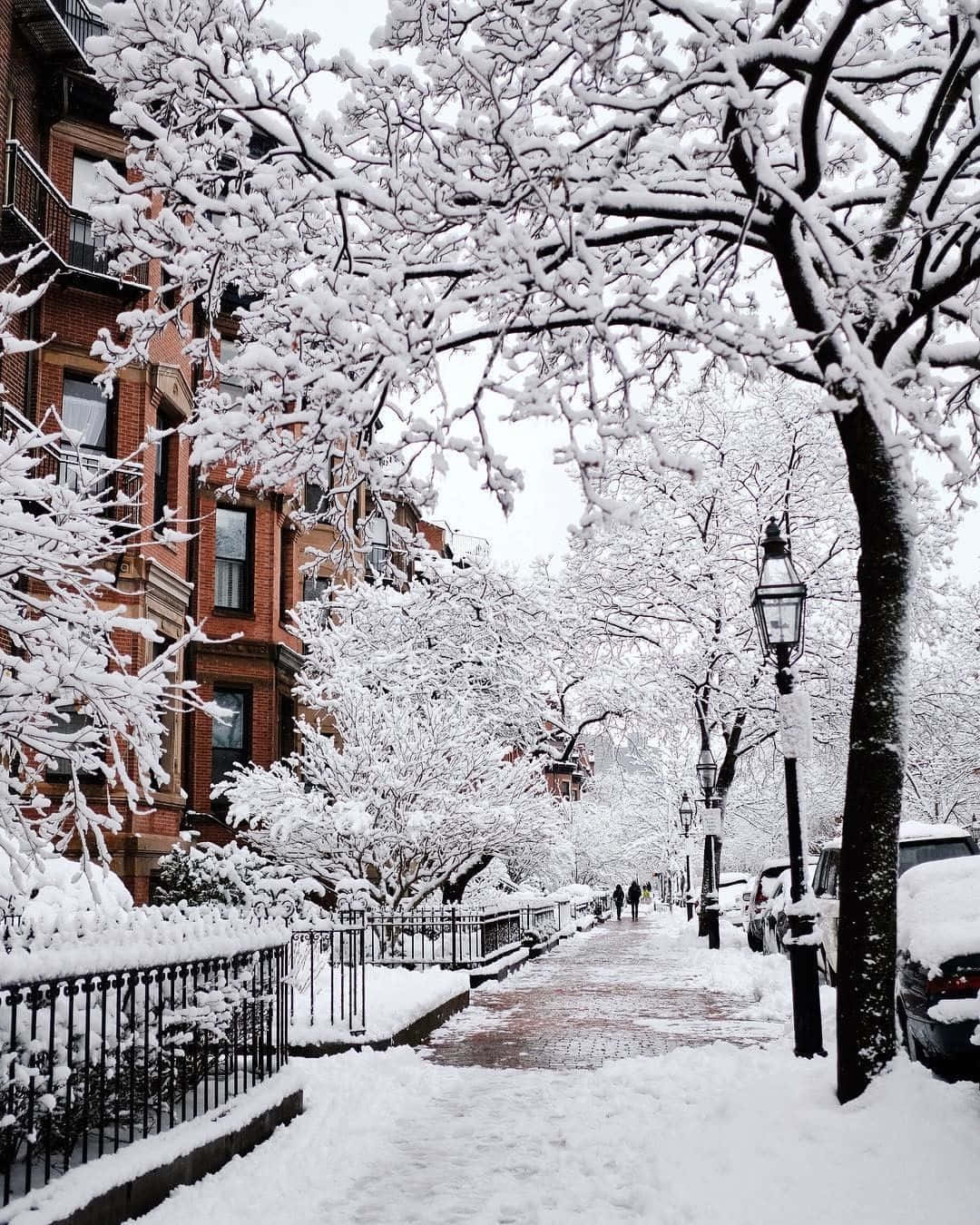urban street, brick row houses, bare trees, HD Phone Wallpaper