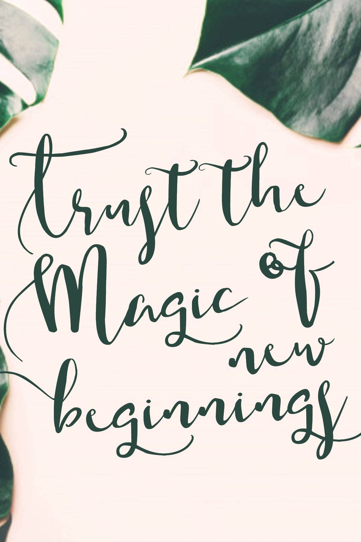 Trust the Magic of new beginnings, lush green monstera leaves, soft cream background, HD Phone Wallpaper