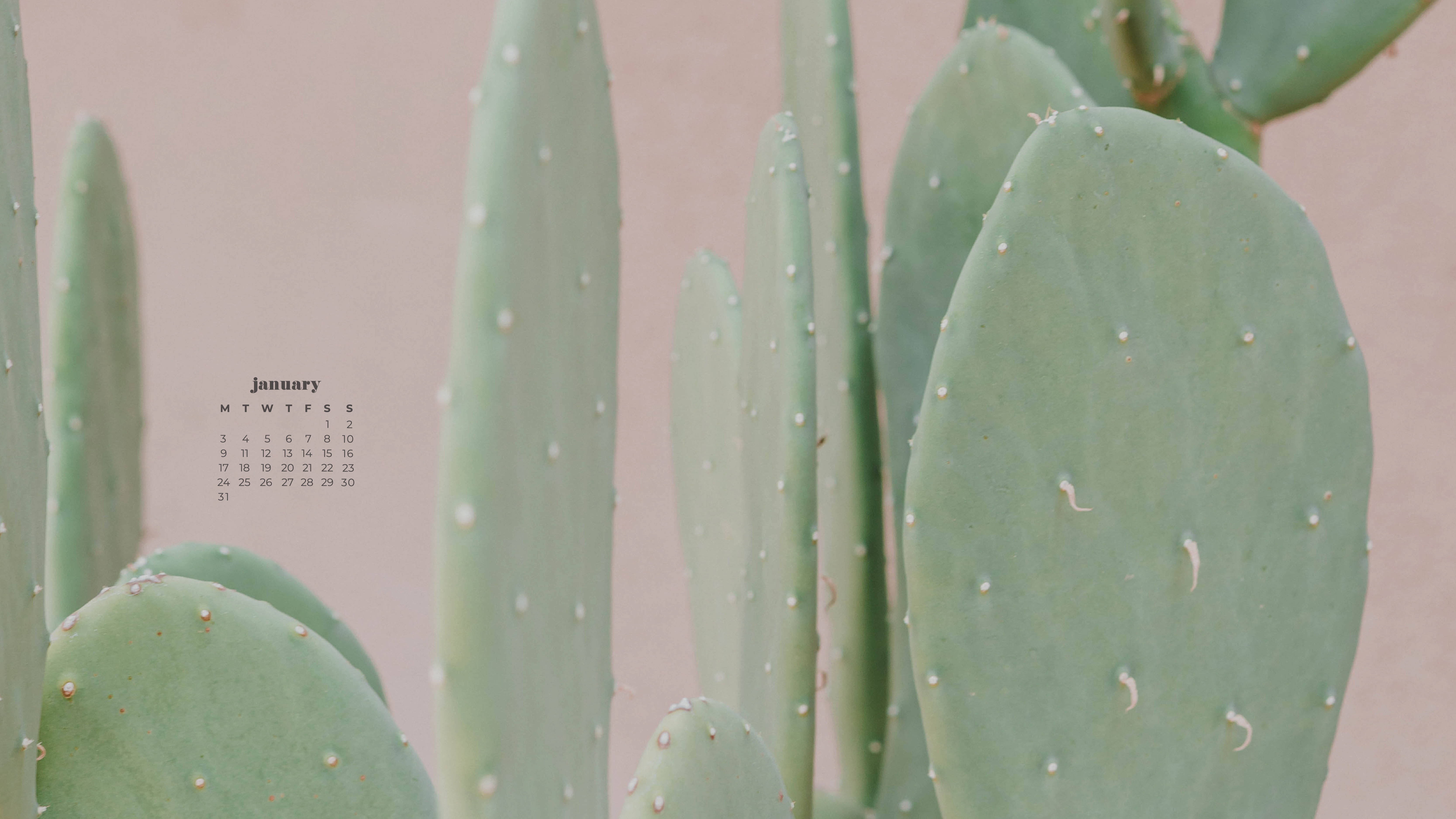 January 2022 Calendar, prickly pear cactus, green, 5K Desktop Wallpaper