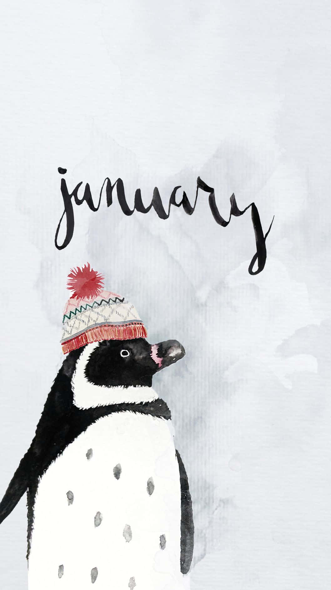 January, penguin, knit hat, HD Phone Wallpaper