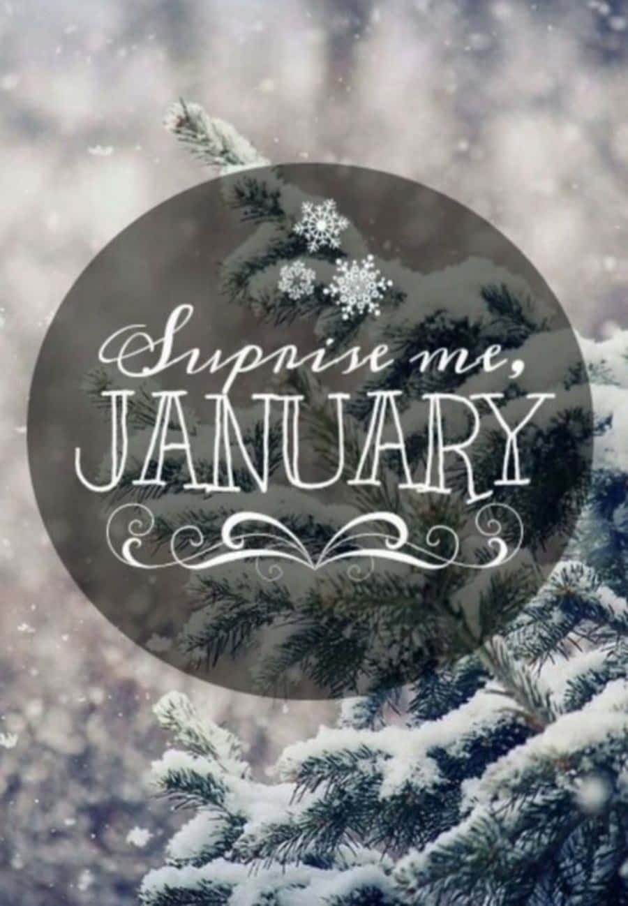January, Surprise me, JANUARY, snow-covered pine branches, HD Phone Wallpaper