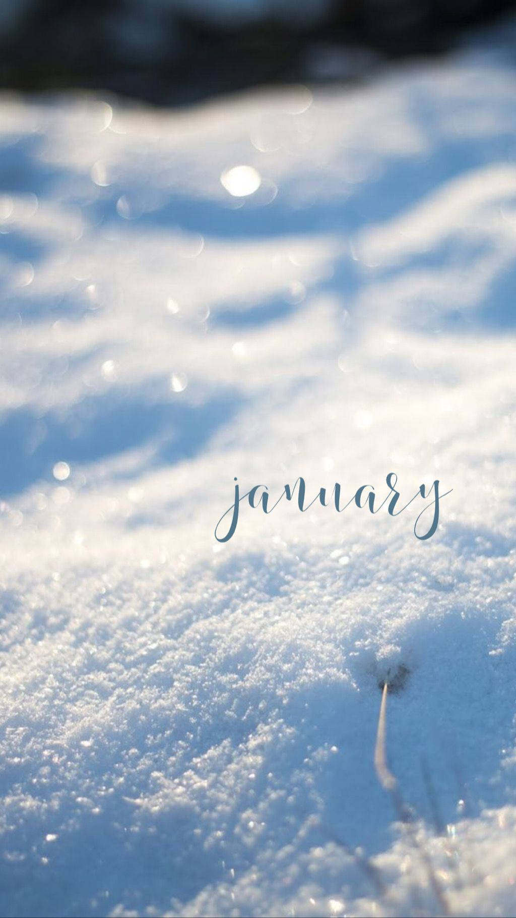 January, glimmering snow, sunlight, HD Phone Wallpaper