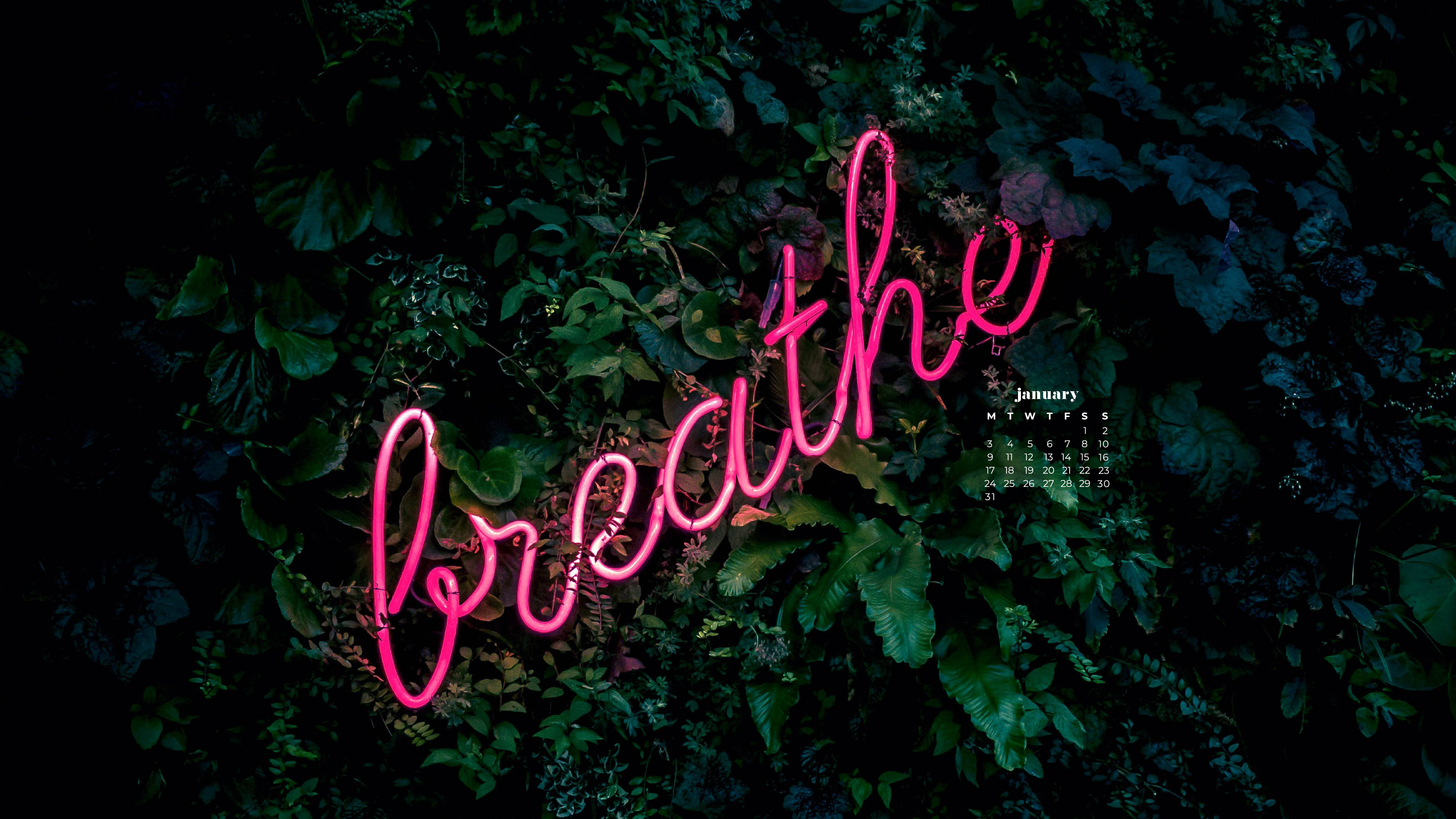 neon breathe, pink neon sign, breathe, 5K Desktop Wallpaper