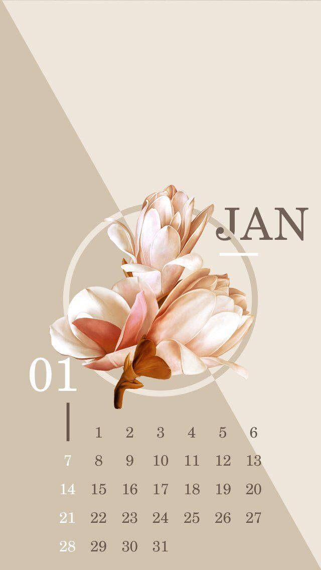 January, magnolia, pink, SD Phone Wallpaper