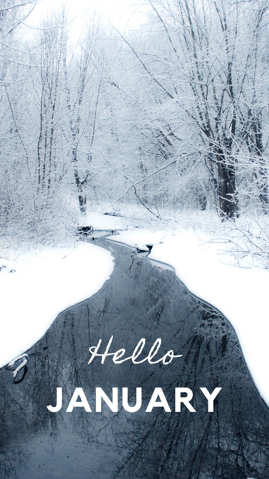 Hello JANUARY, snow-covered forest path, bare trees, Full HD Phone Wallpaper