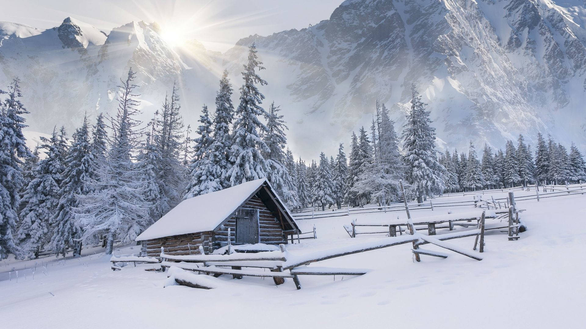 January, morning sun, snow-covered wooden cabin, Full HD Desktop Wallpaper