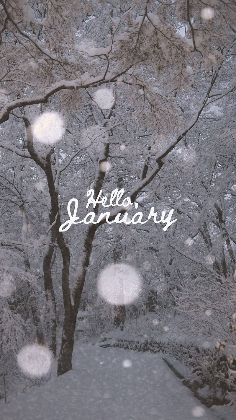 Hello January, snow, bare tree branches, HD Phone Wallpaper