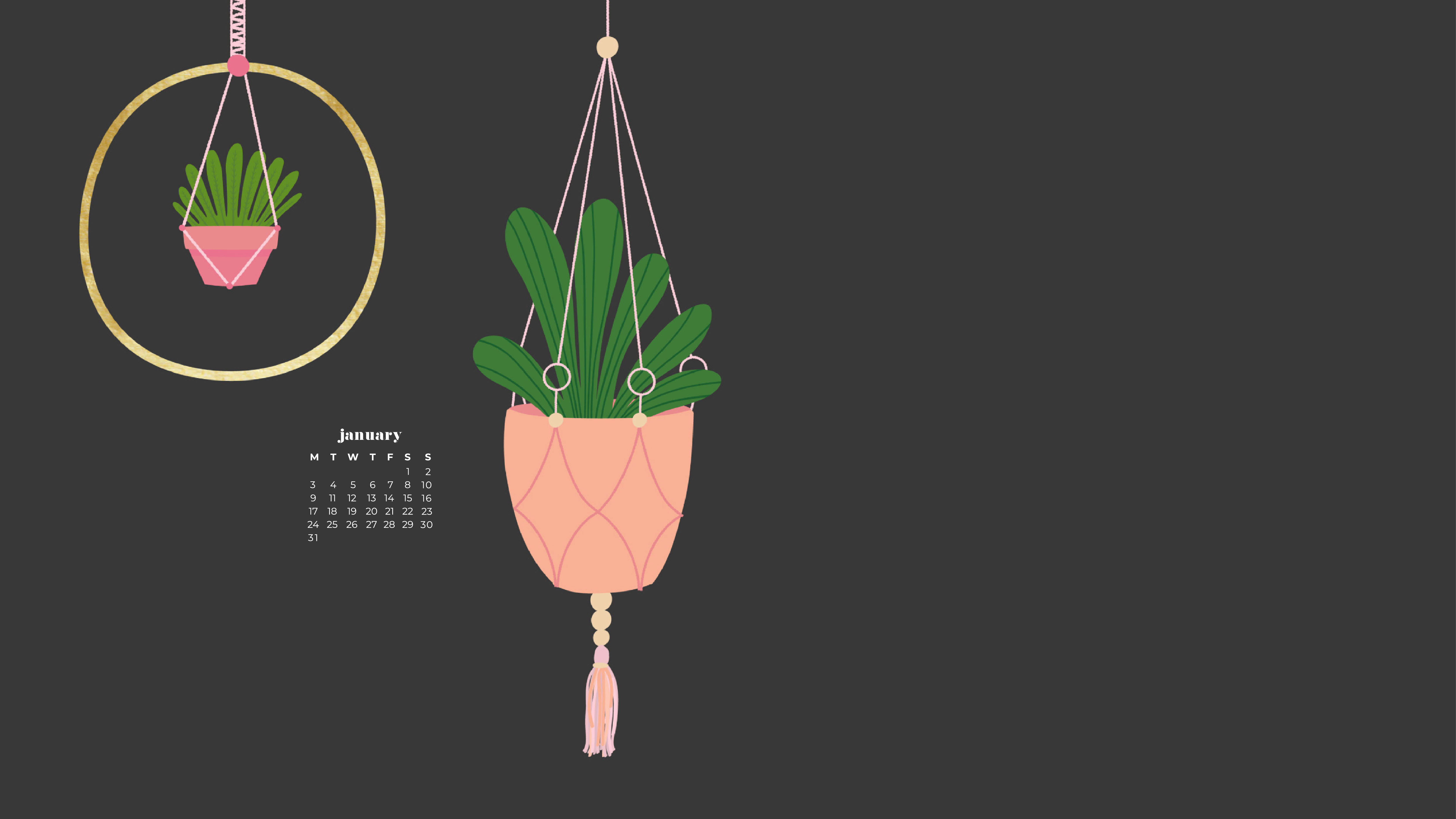 macrame planters, pink pots, green foliage, 5K Desktop Wallpaper