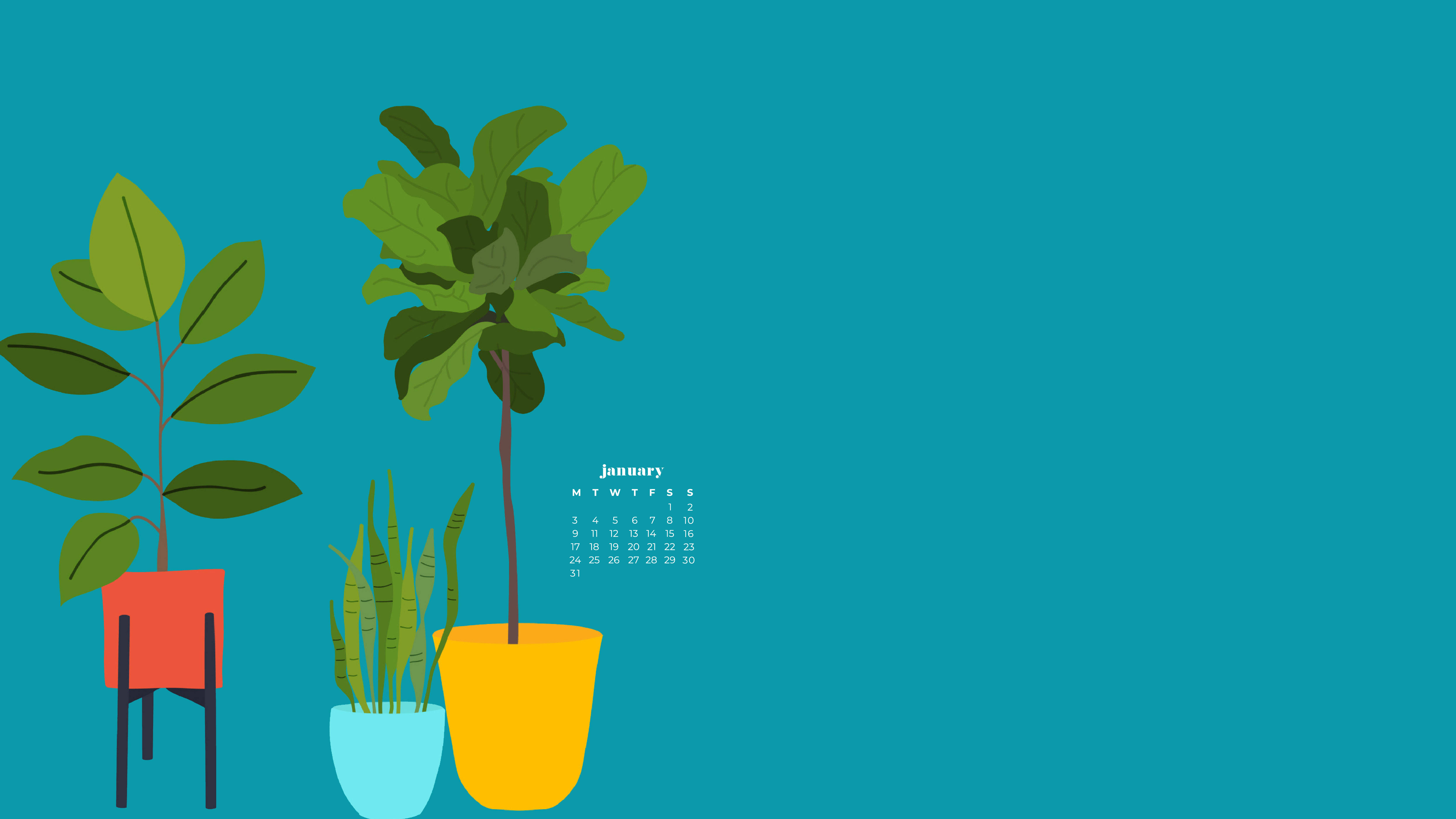 January calendar, teal background, potted plants, 5K Desktop Wallpaper