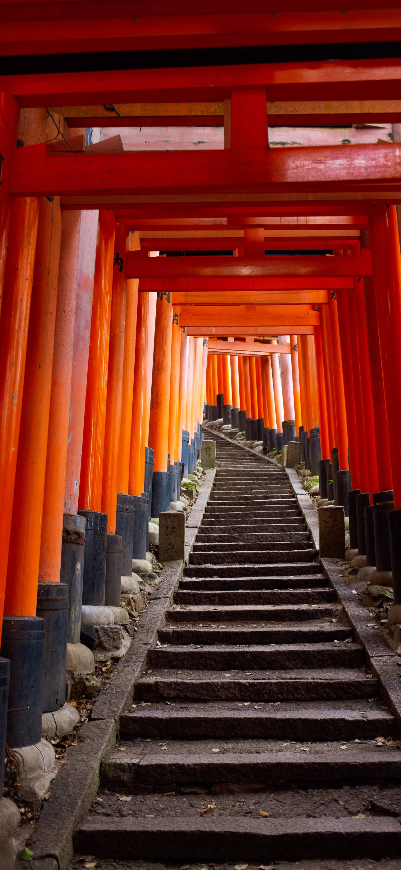 Japanese Aesthetic, iPhone, torii gates, 2K Phone Wallpaper
