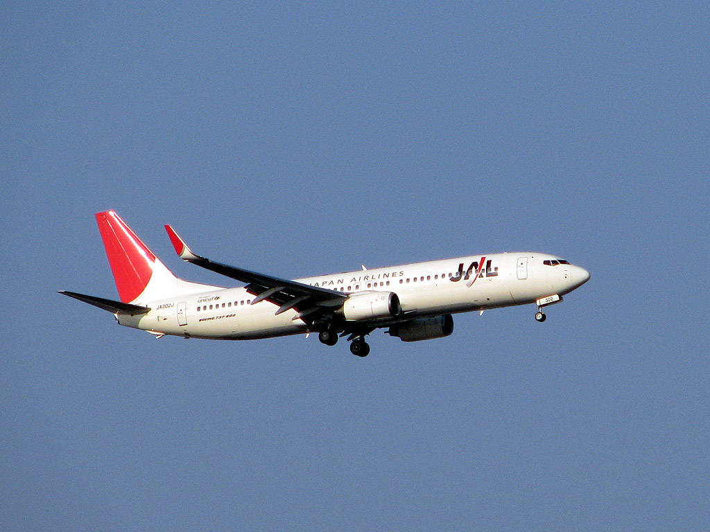 Japan Airlines, Flying Blue, red tail, SD Desktop Wallpaper