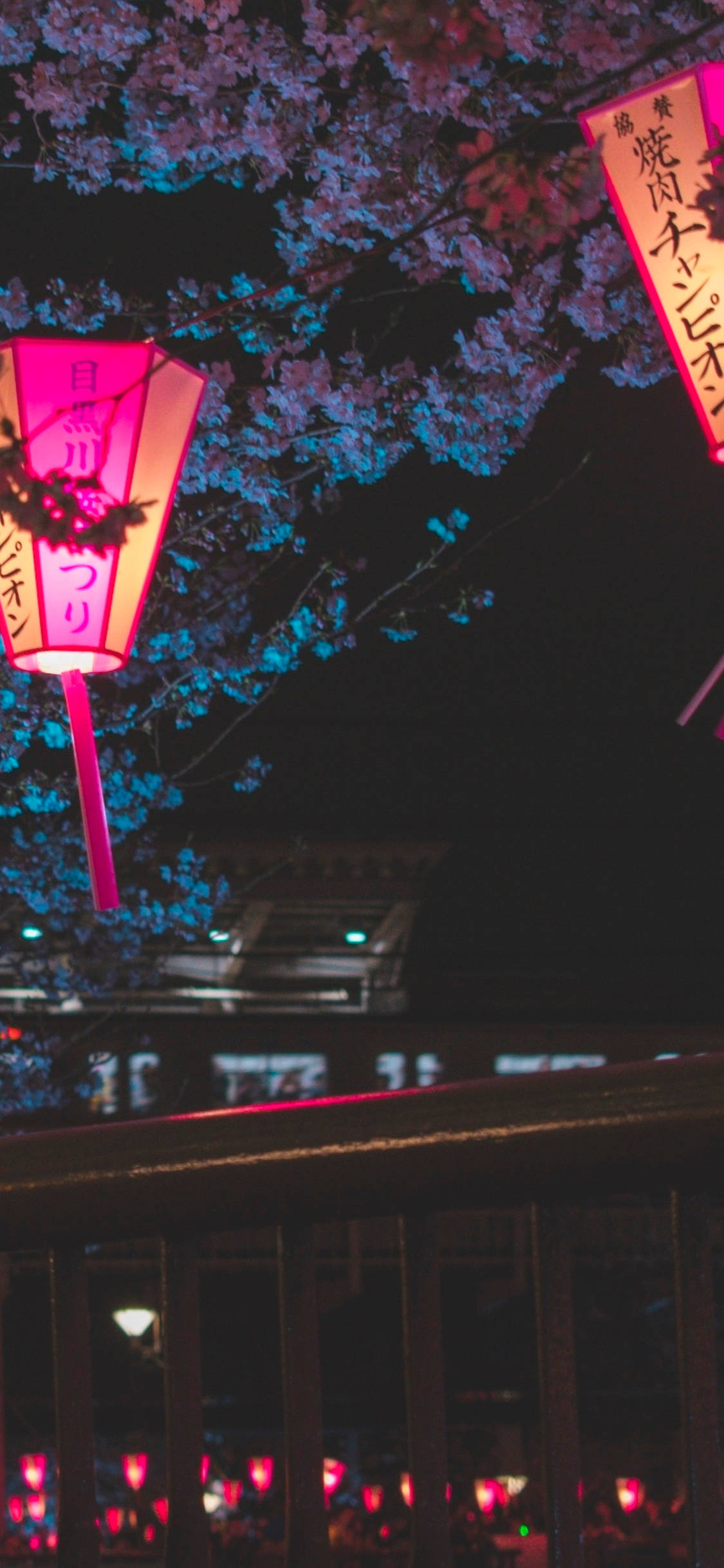 Japan Cherry Blossom, cherry blossoms, pink lanterns, Full HD Phone Wallpaper