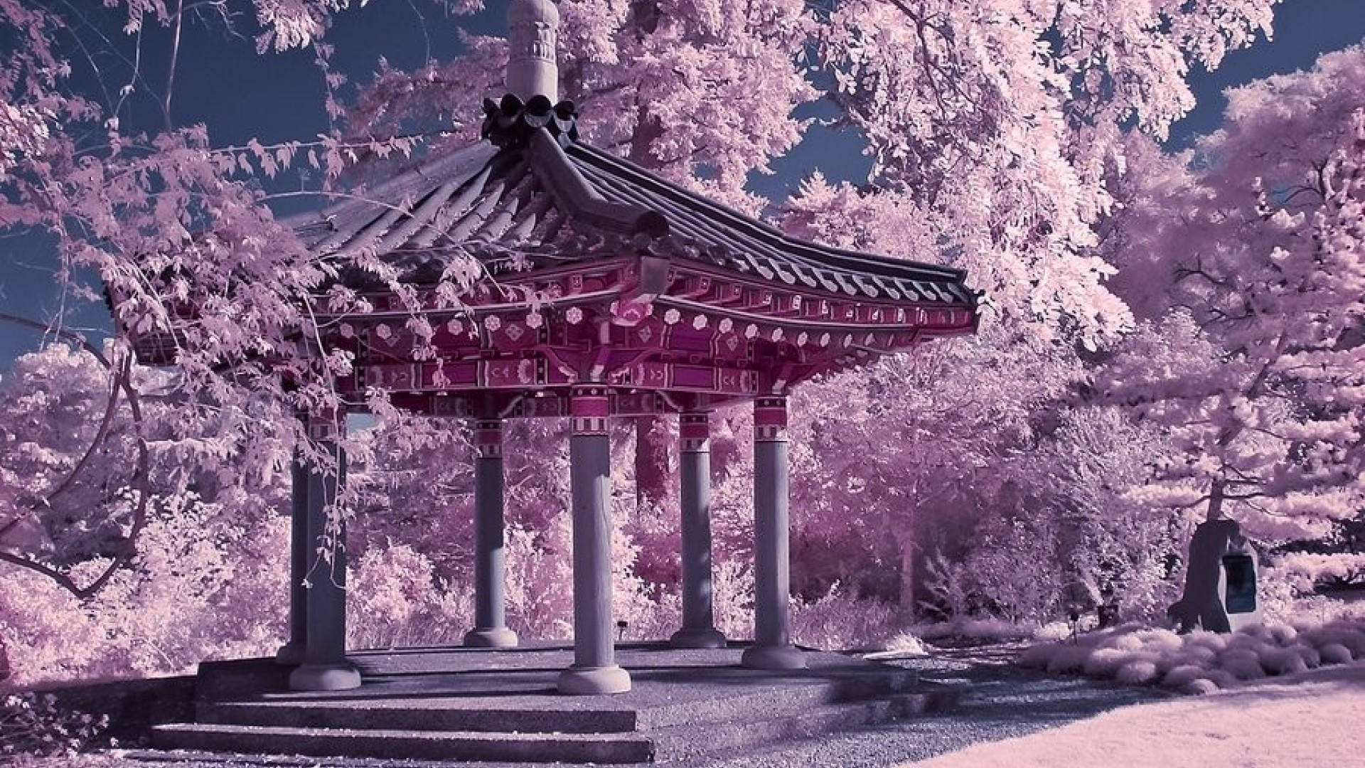 Japan Cherry Blossom, gazebo, pink-tinged trees, Full HD Desktop Wallpaper
