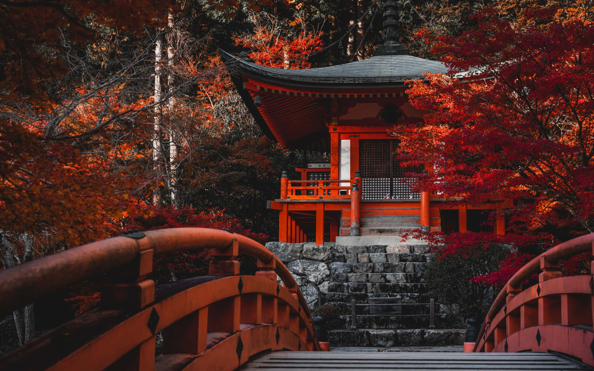 red Japanese shrine, fiery autumn maple trees, arched bridge, Full HD Desktop Wallpaper