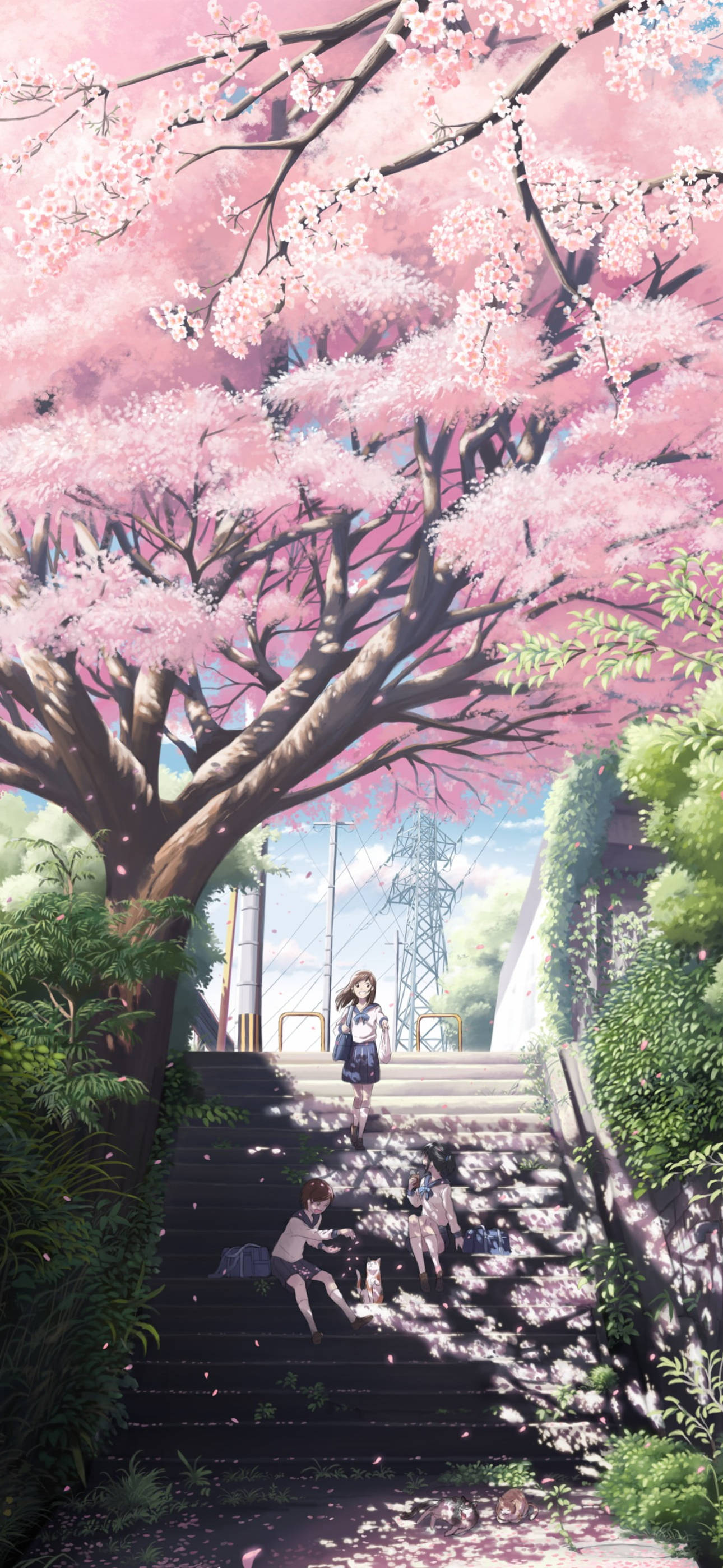 Japanese Aesthetic, iPhone Girls, steps, 2K Phone Wallpaper