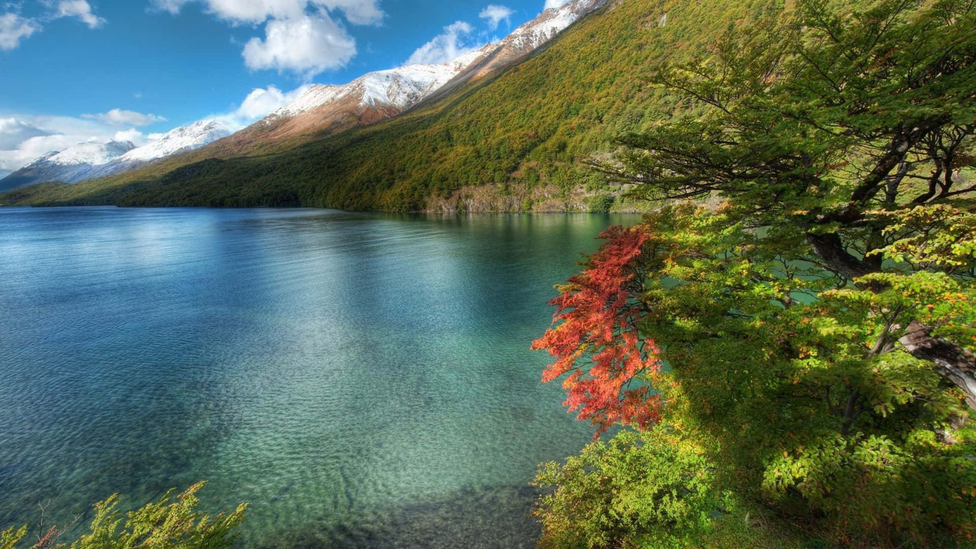 Ethereal Autumn in Japan, serene lake, snow-capped mountains, Full HD Desktop Wallpaper