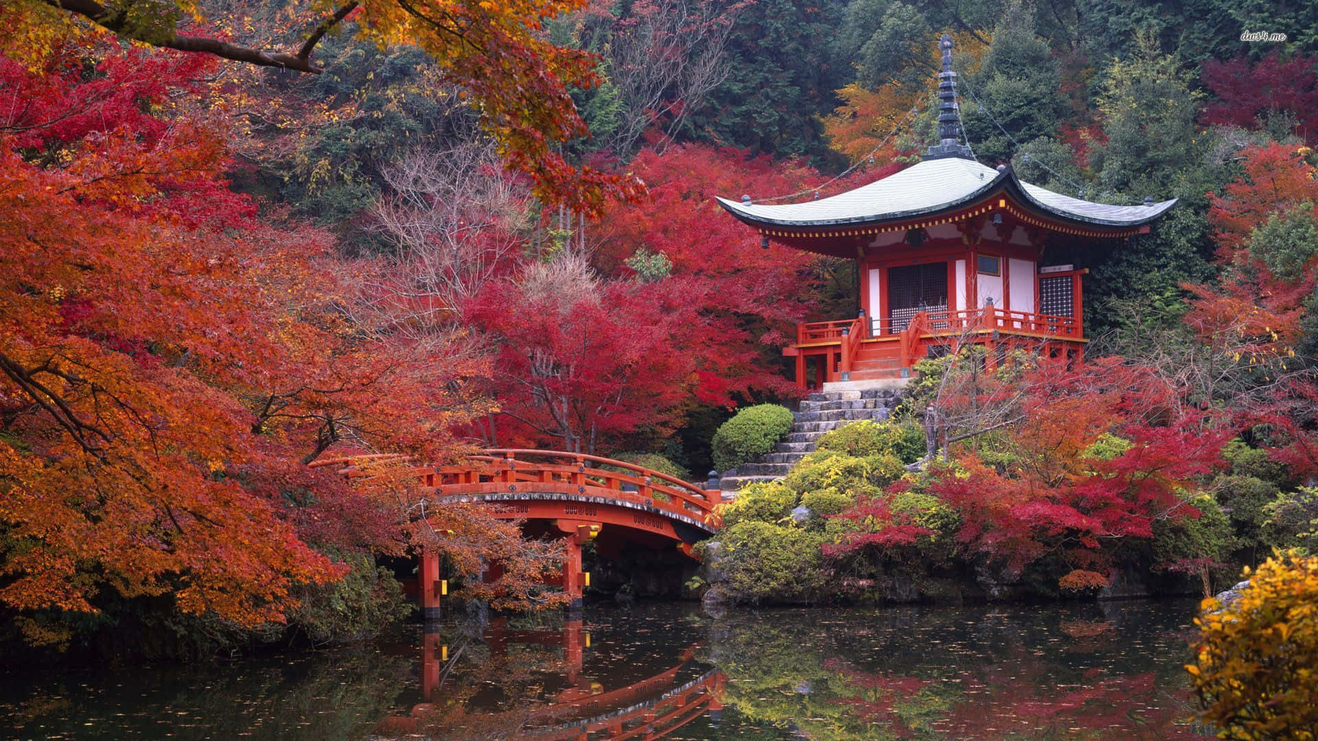 pagoda, autumn leaves, pond, Full HD Desktop Wallpaper