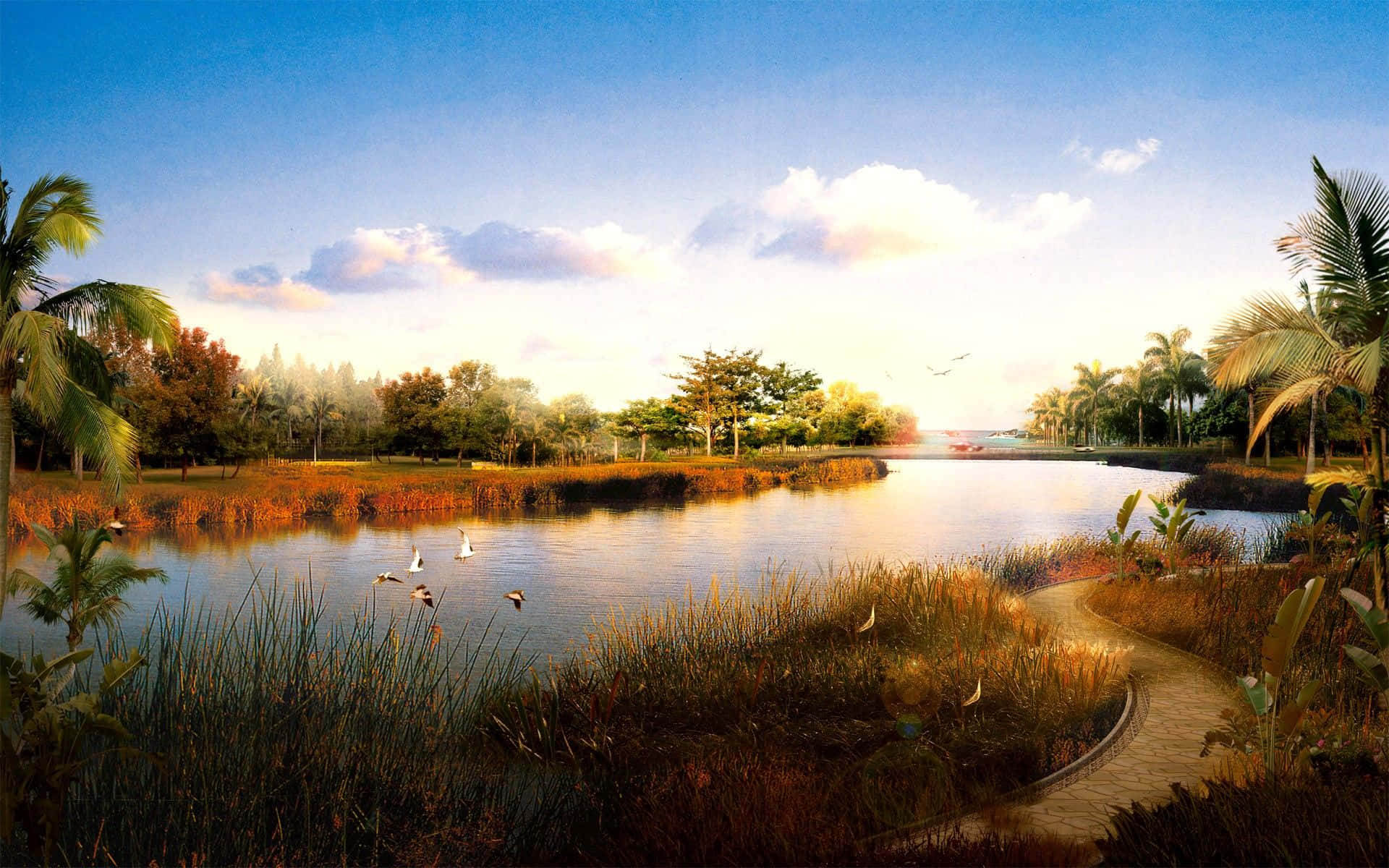 golden sunset, tropical lake, swans, Full HD Desktop Wallpaper