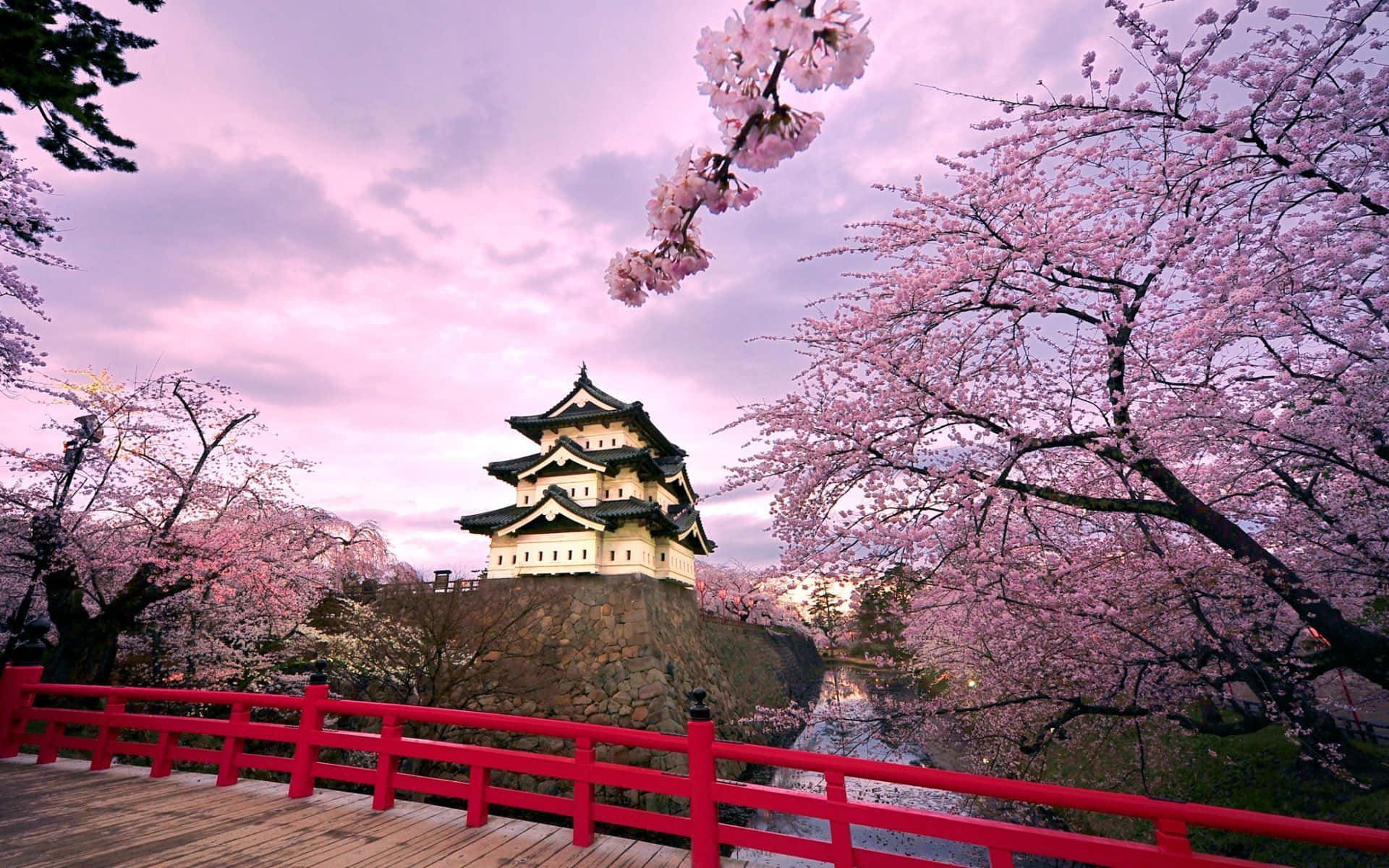 Japan Landscape, cherry blossoms, red bridge, Full HD Desktop Wallpaper