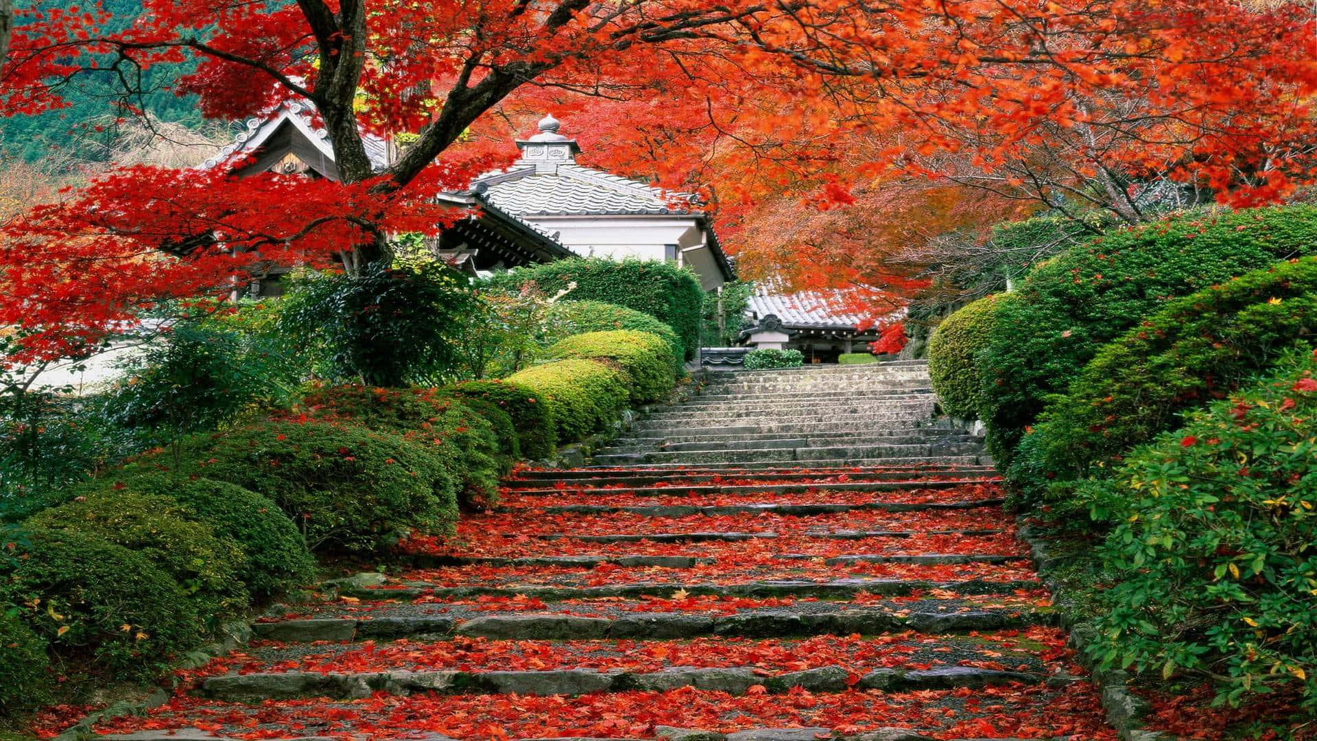Japan Landscape, stone steps, vibrant red maple leaves, Full HD Desktop Wallpaper