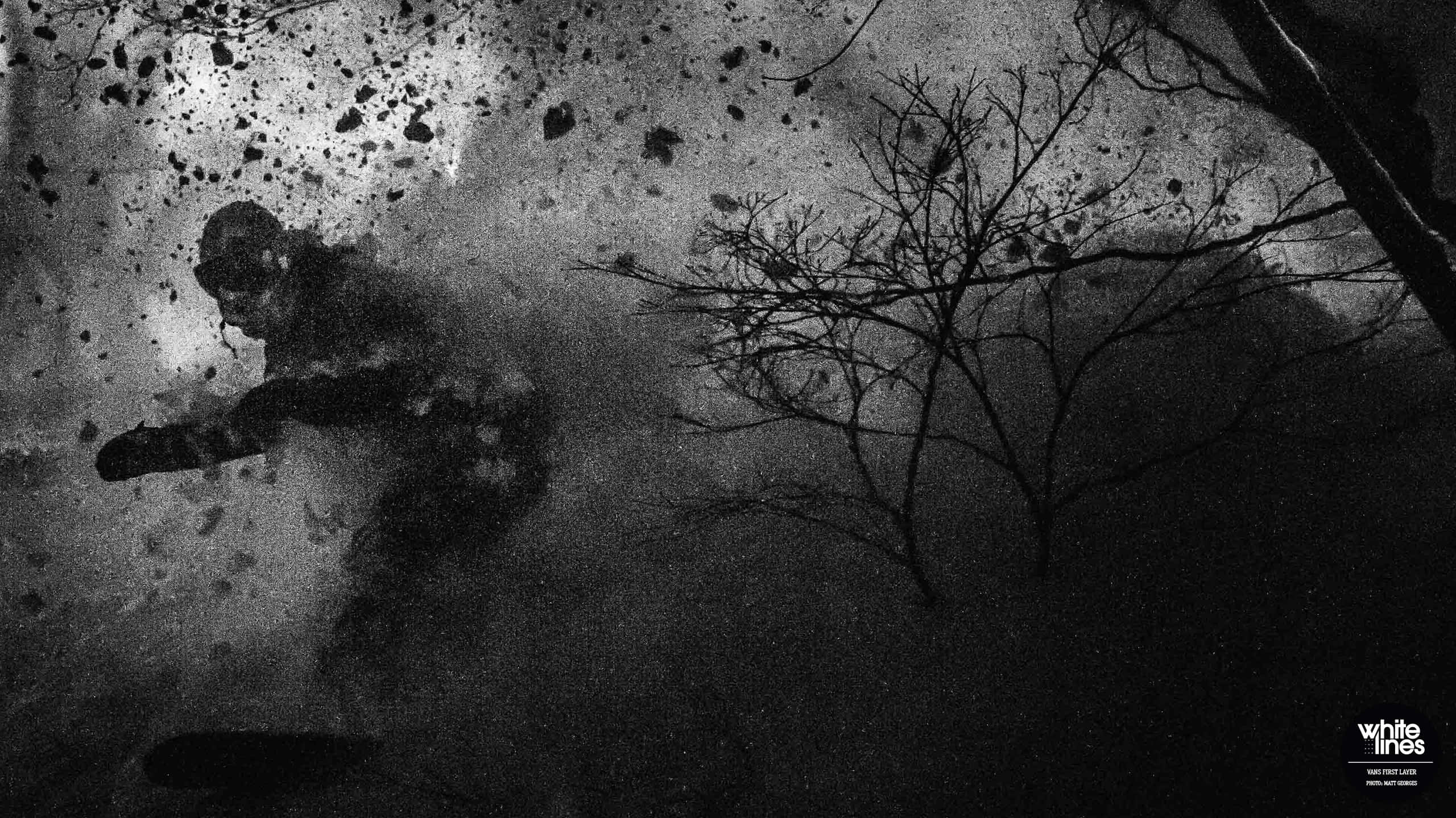 Japanese Landscape, black and white, stormy monochrome forest, 2K Desktop Wallpaper