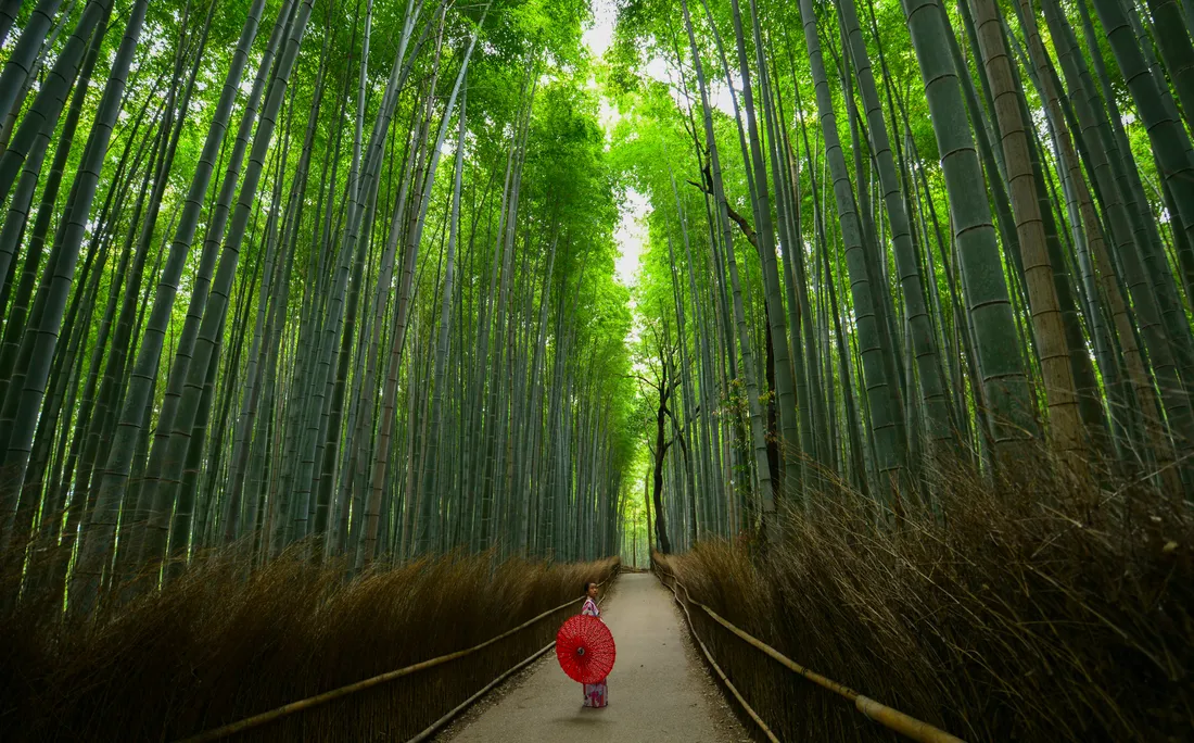 Japan