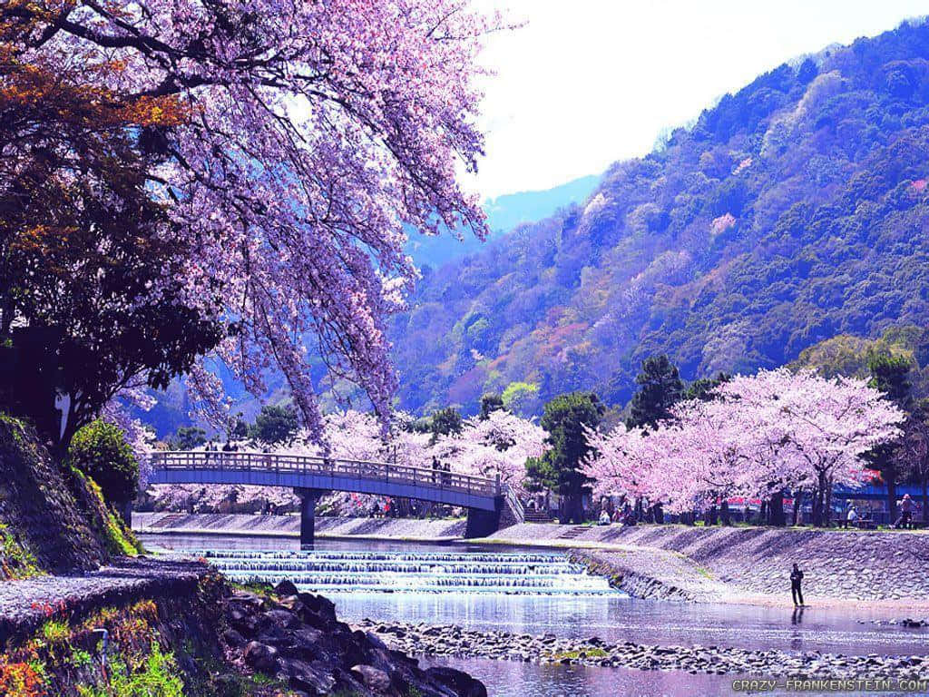 Japanese Desktop, traditional patterns, river, SD Desktop Wallpaper