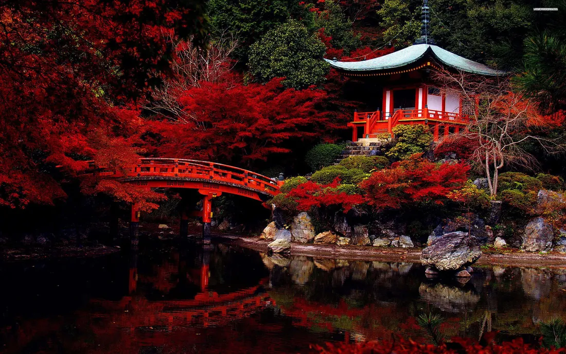 Japanese Culture