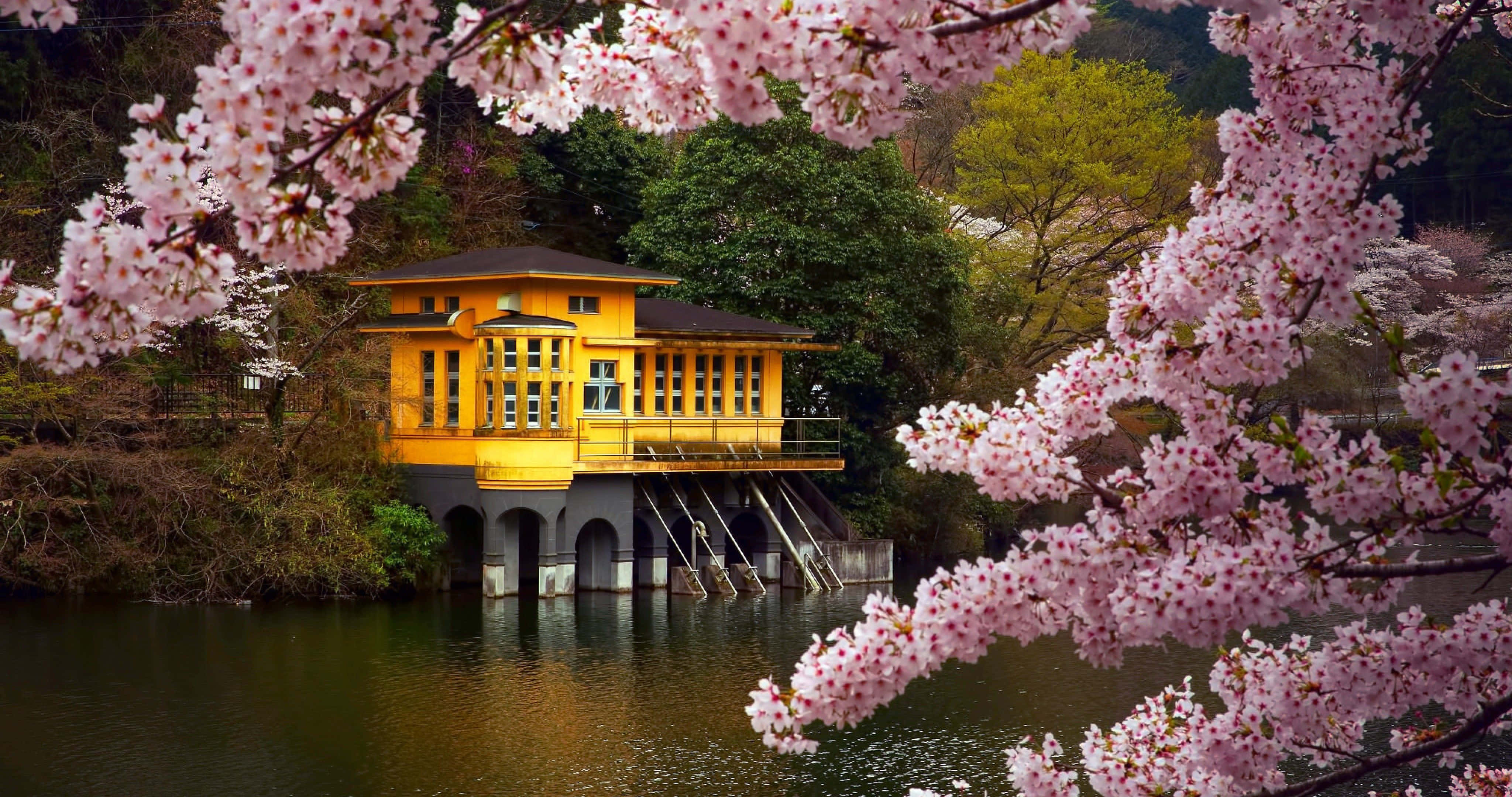 Japanese Lake Side House, vibrant yellow house, calm water, 4K Desktop Wallpaper