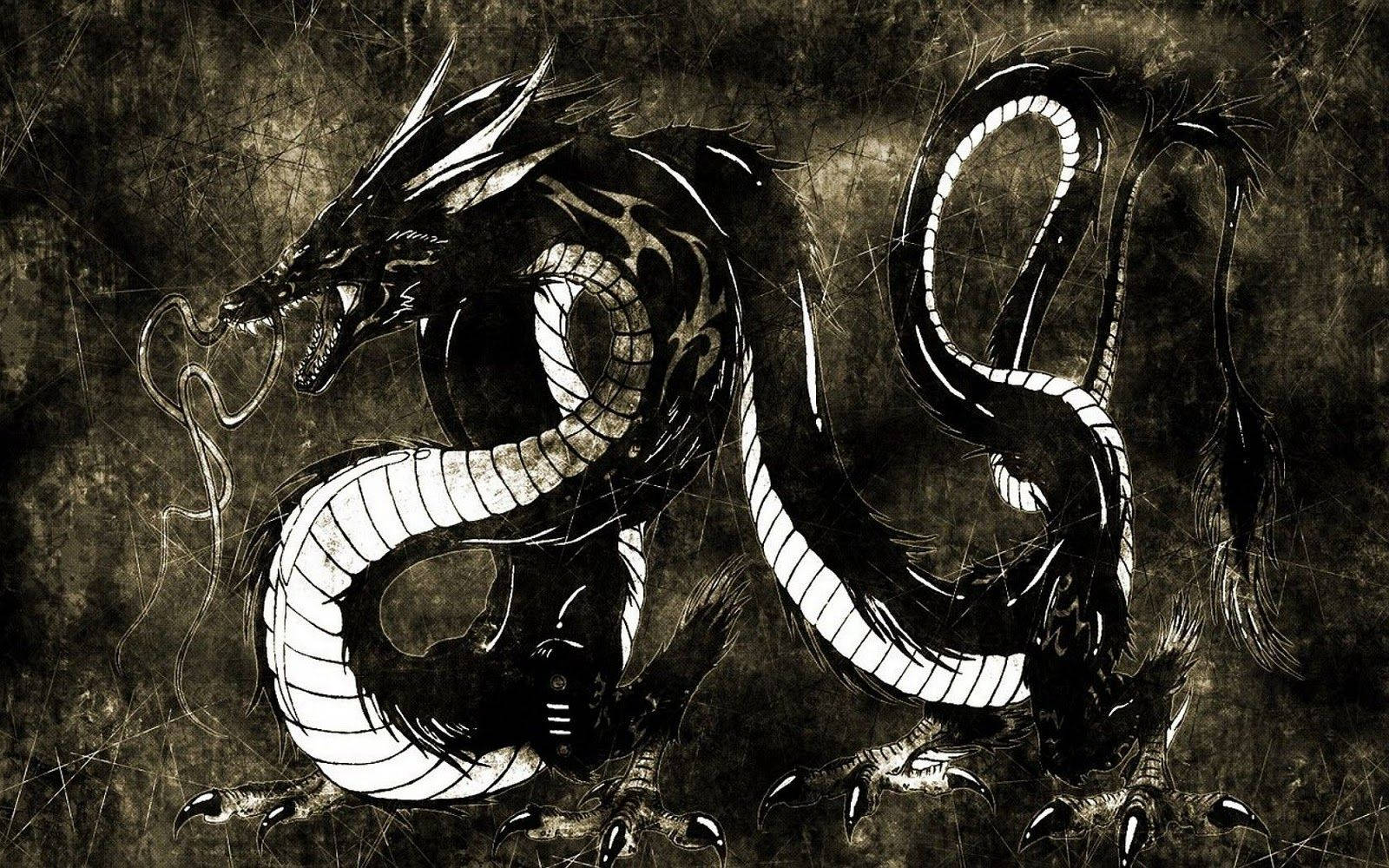 Japanese Dragon Art, black scaled dragon, white underbelly, HD Desktop Wallpaper