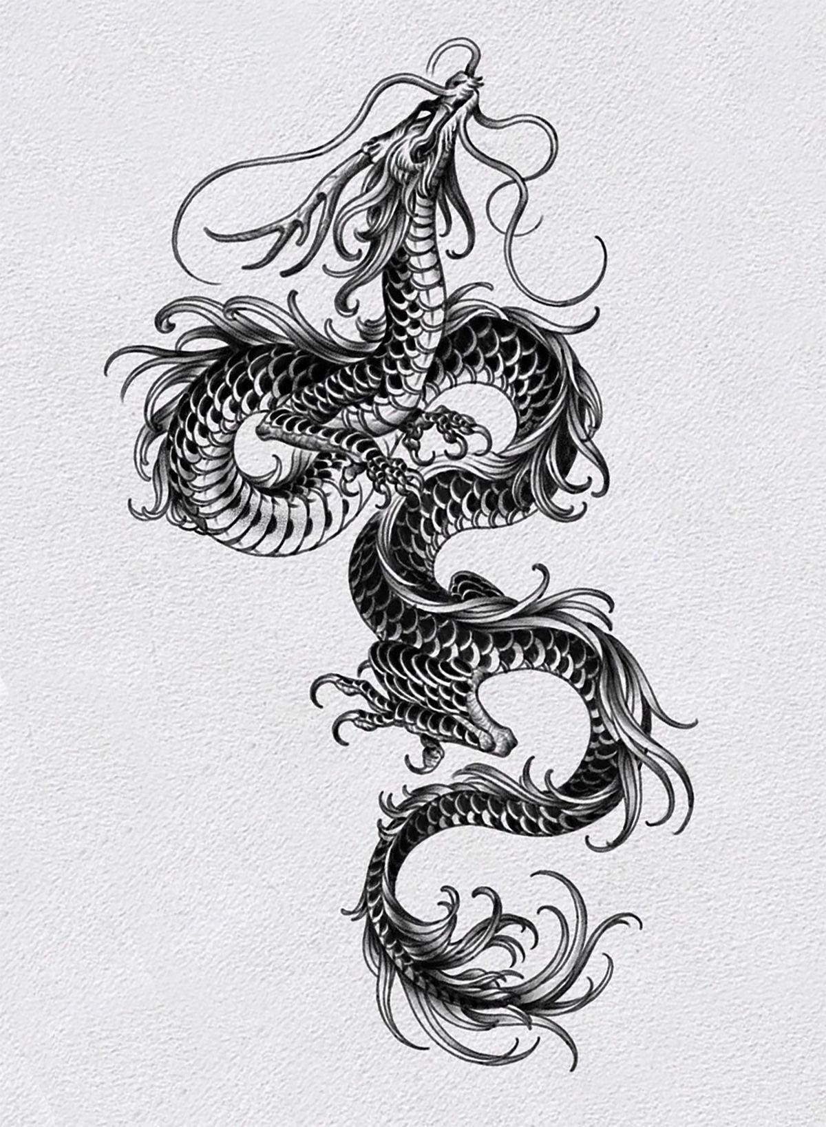 Japanese Dragon Tattoo, black and white ink drawing, coiled dragon, HD Phone Wallpaper
