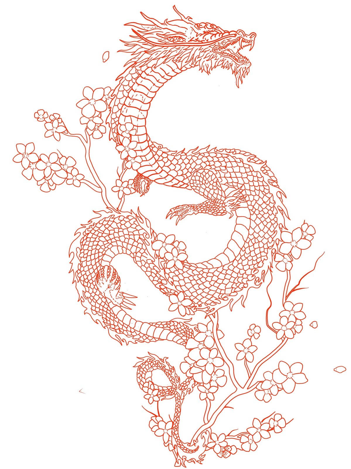 red japanese dragon tattoo, cherry blossom branches, line-art dragon, HD Phone Wallpaper