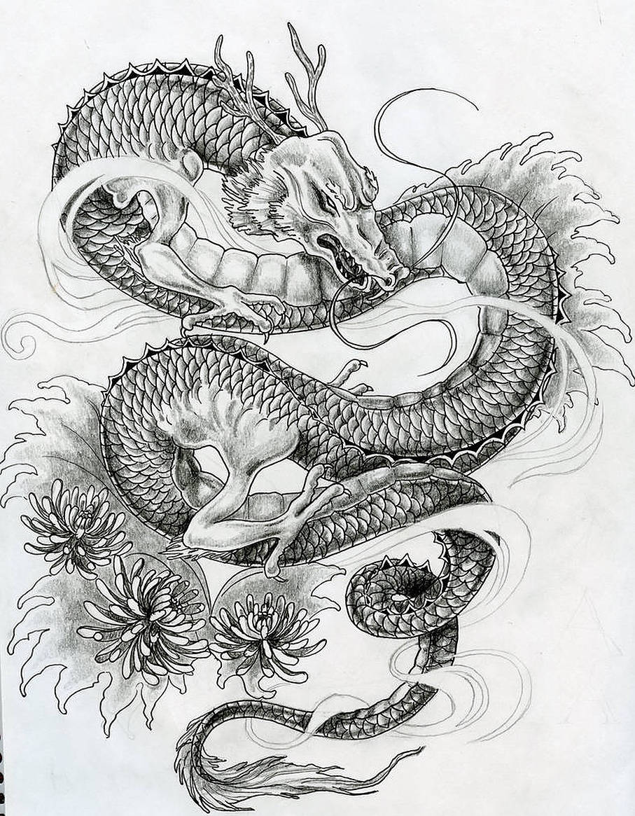 monochromatic Japanese dragon tattoo sketch, black and white illustration, coiled dragon, SD Phone Wallpaper