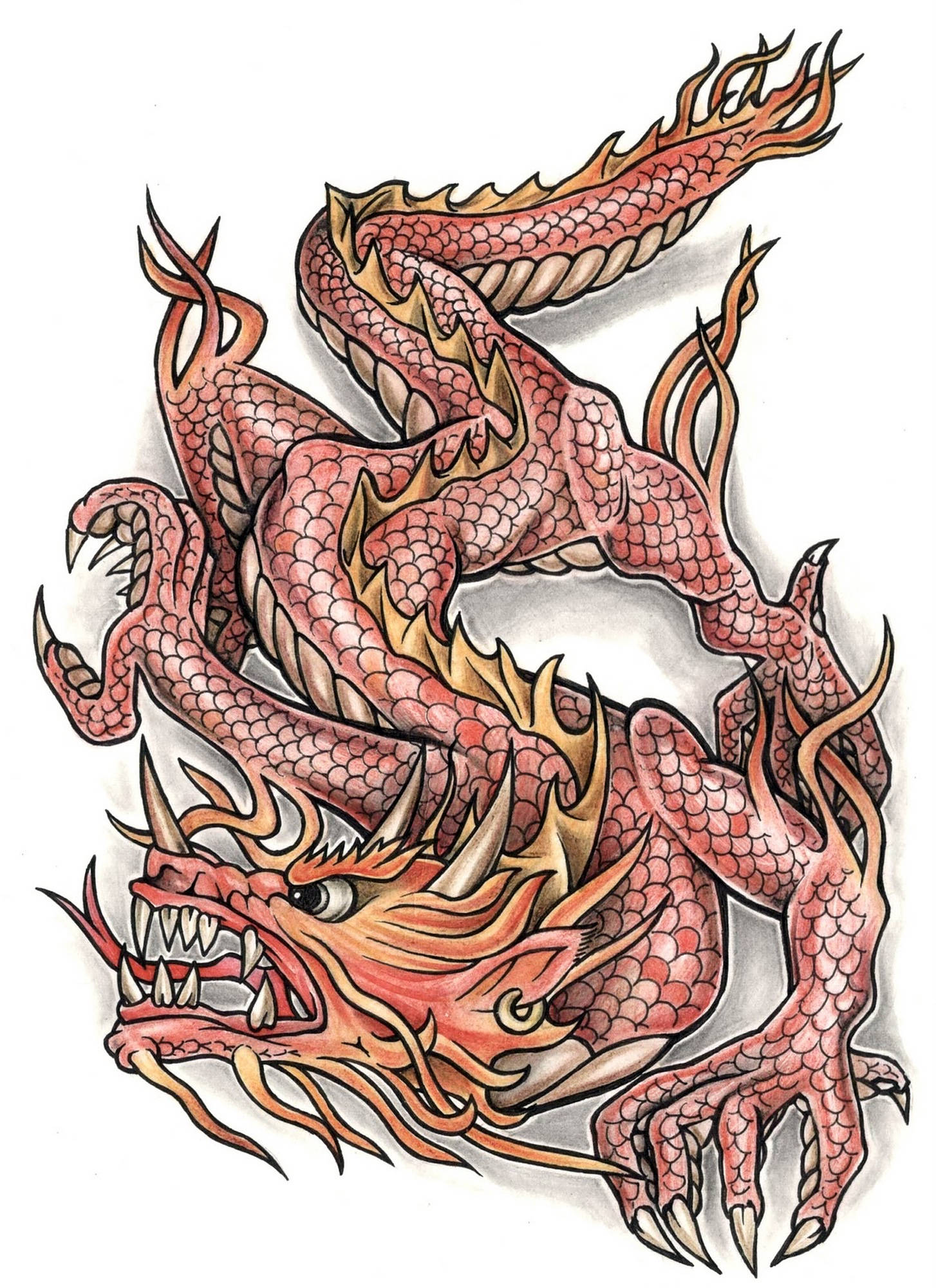 red japanese dragon tattoo, fierce red dragon, golden accents, Full HD Phone Wallpaper