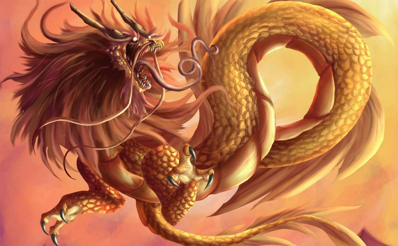 Japanese Dragon, gold mane, fiery mane, HD Desktop Wallpaper