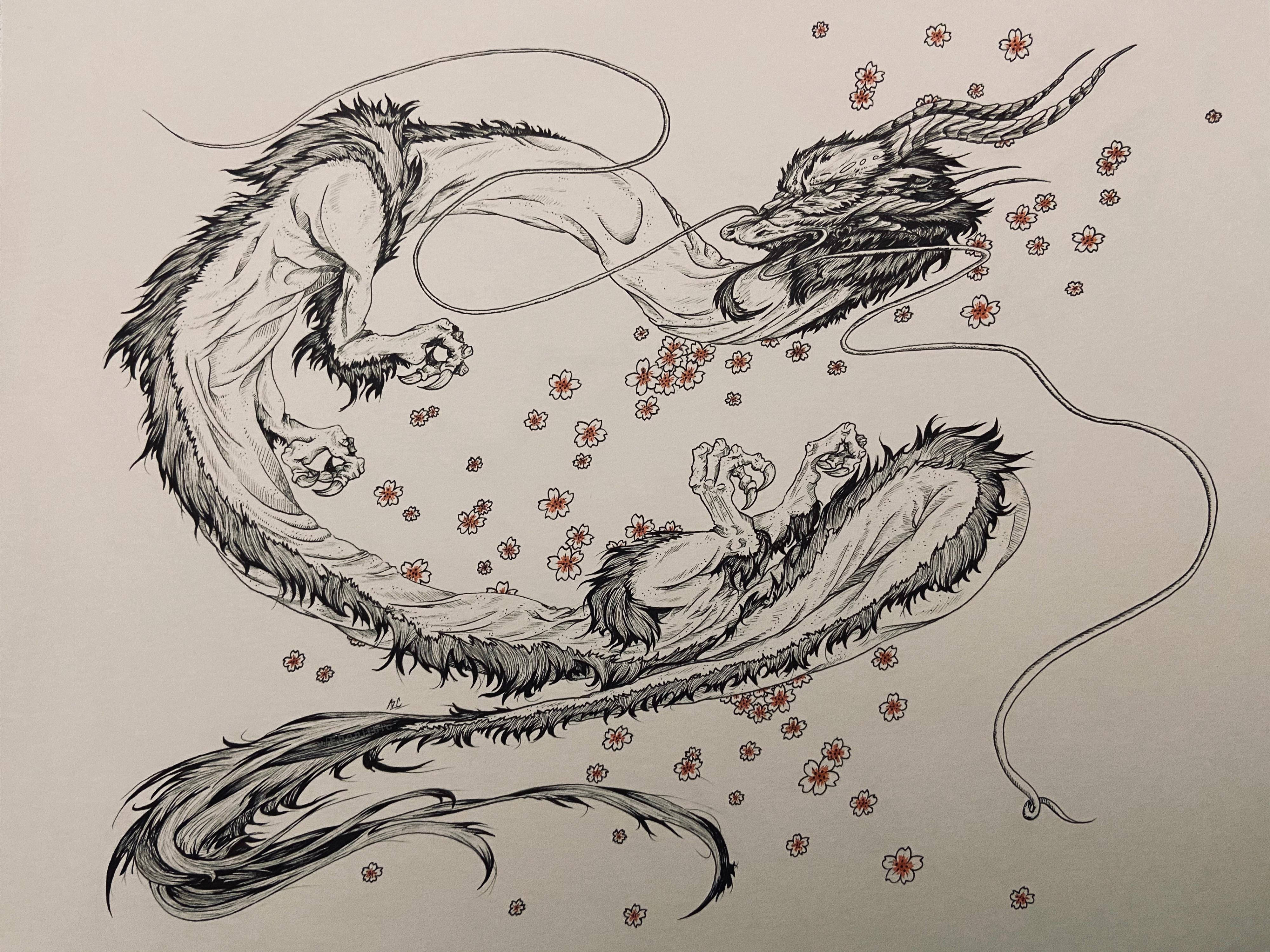 Japanese Dragon, cherry blossoms, black and white ink, 4K Desktop Wallpaper