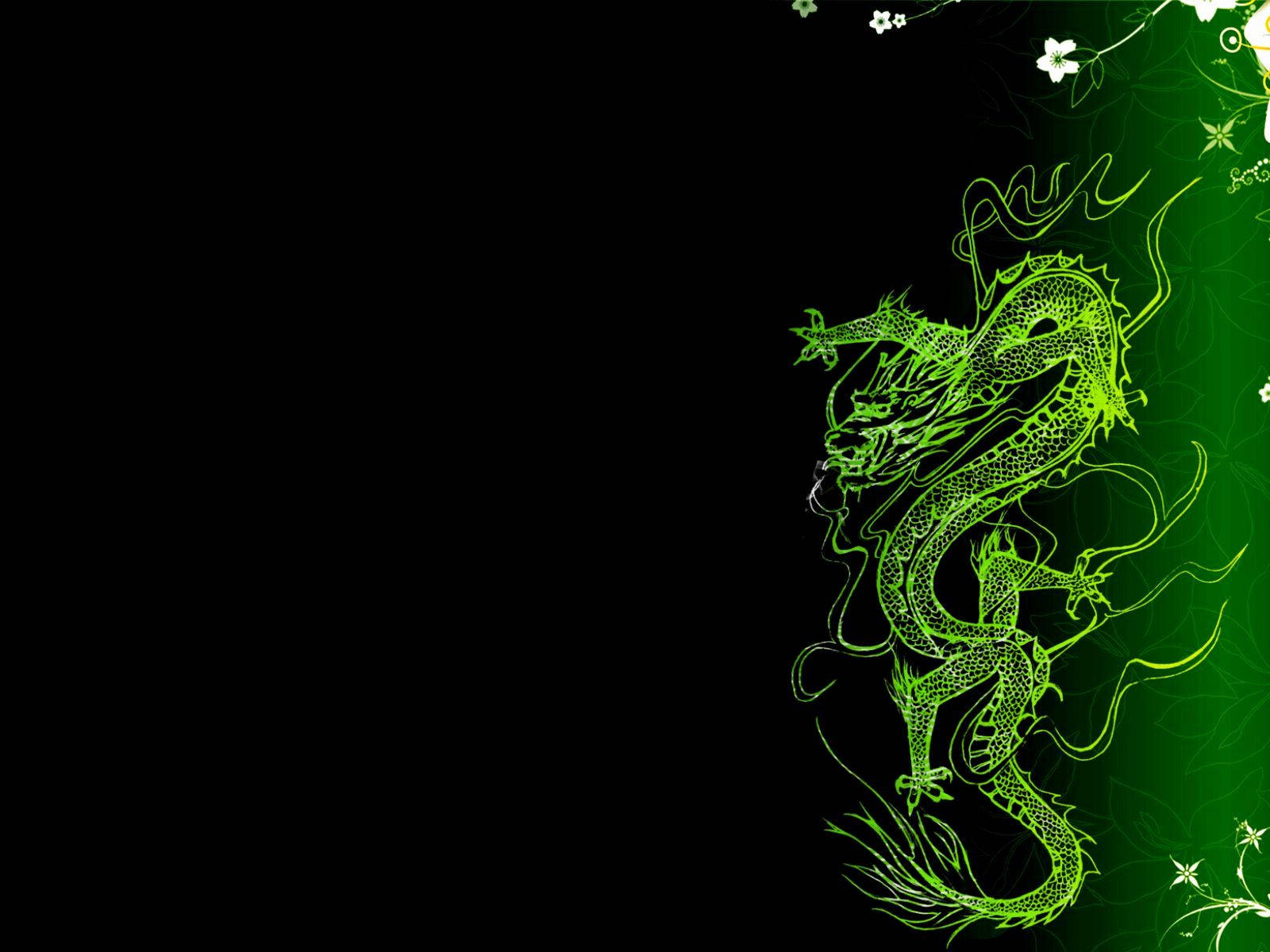 Japanese Dragon, neon green, black background, HD Desktop Wallpaper