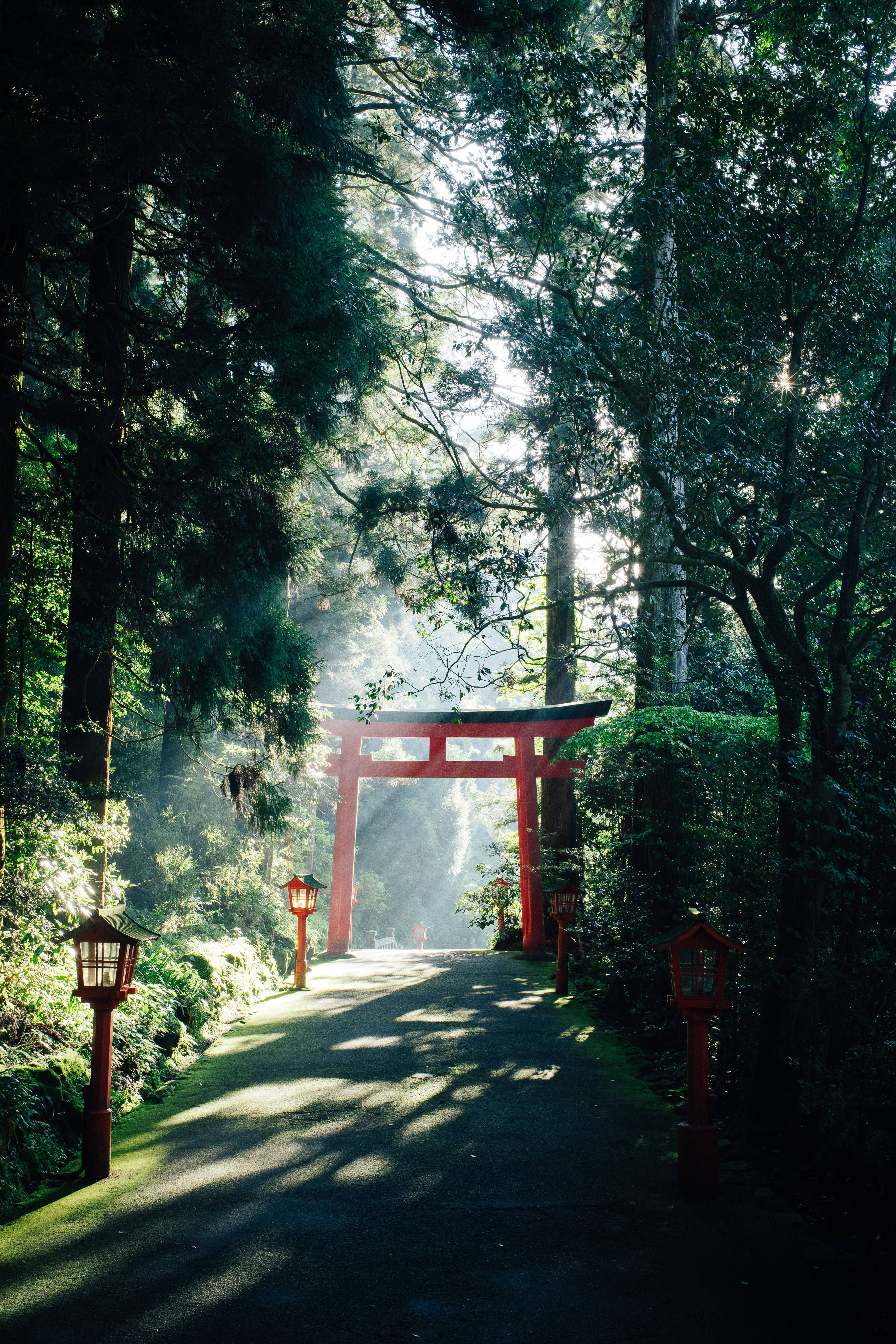 torii gate, sunny day, golden morning light, 5K Phone Wallpaper