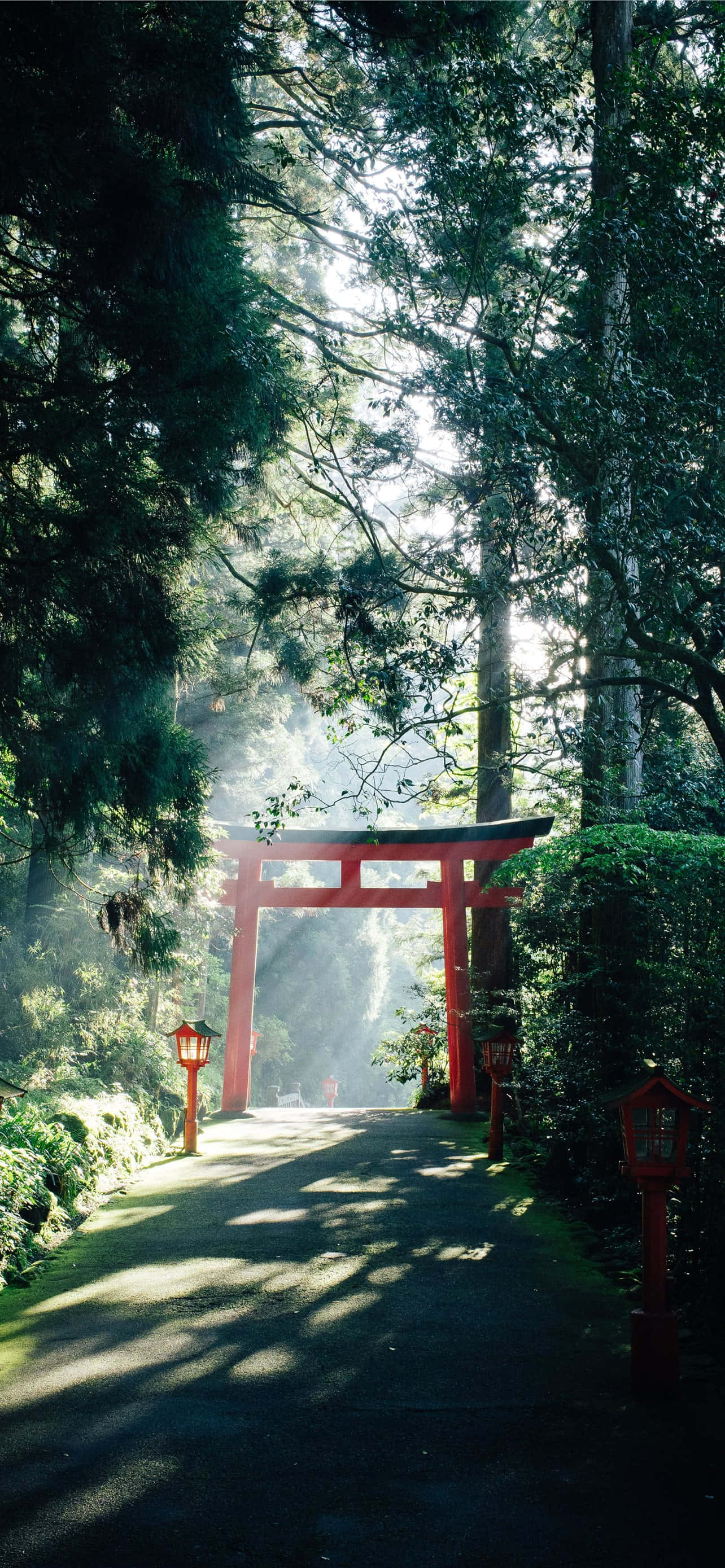 Japanese iPhone, red torii gate, golden morning light, 2K Phone Wallpaper