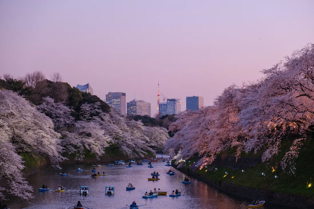Japanese Nature